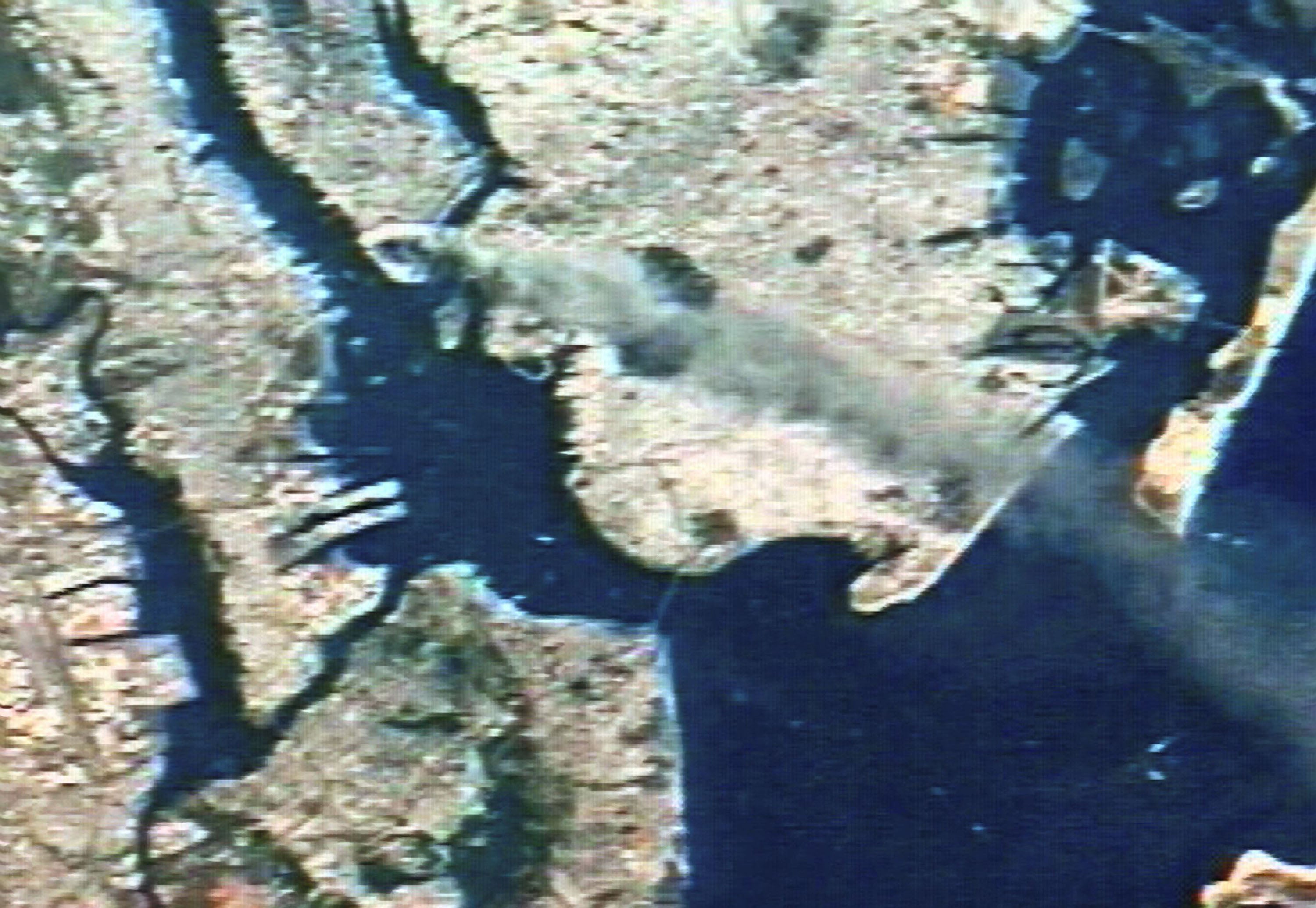 A still from the video shot by Nasa astronaut Frank Culbertson of the second Twin Tower falling on September 11, 2001