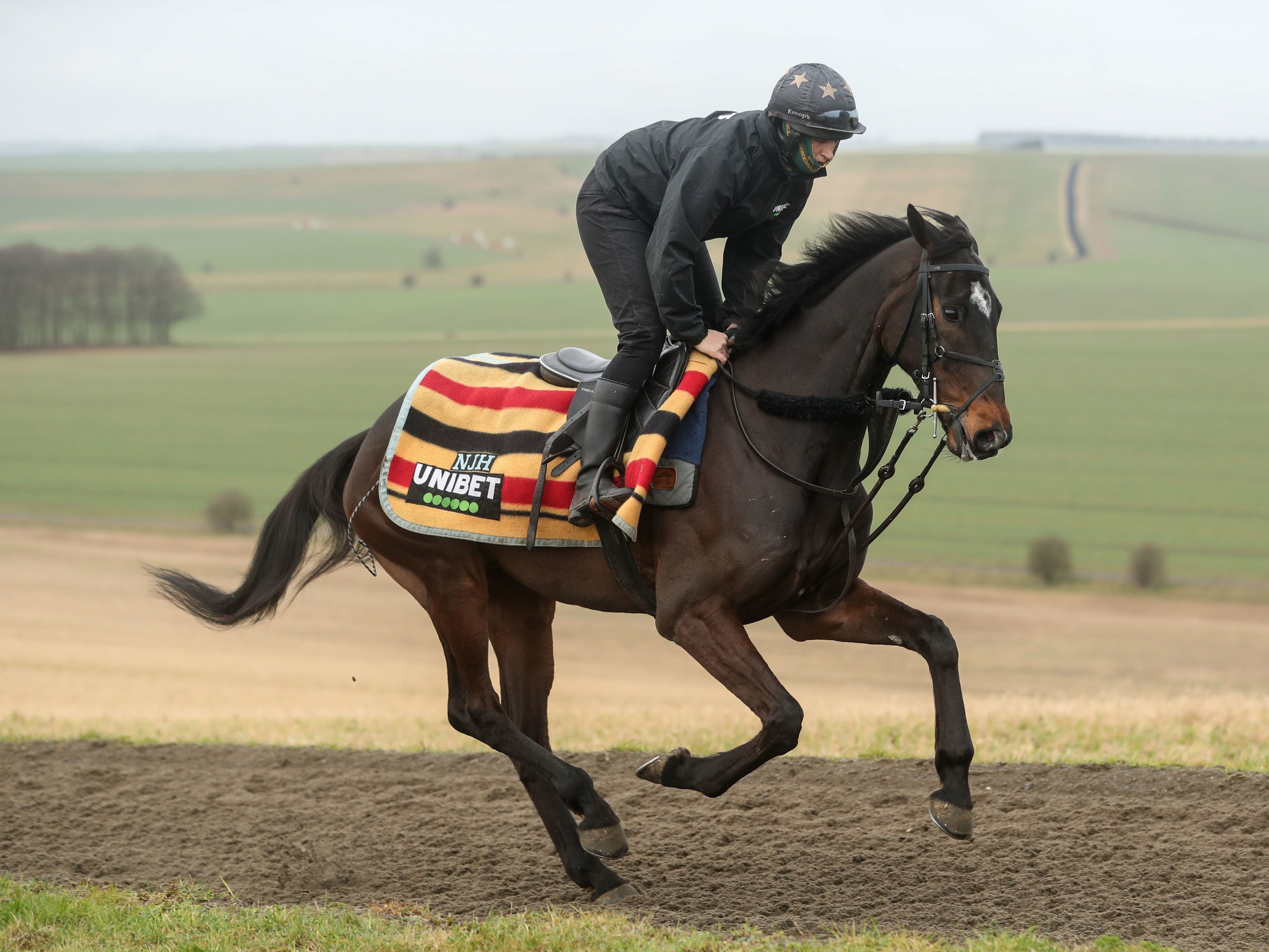 Nicky Henderson’s Shishkin