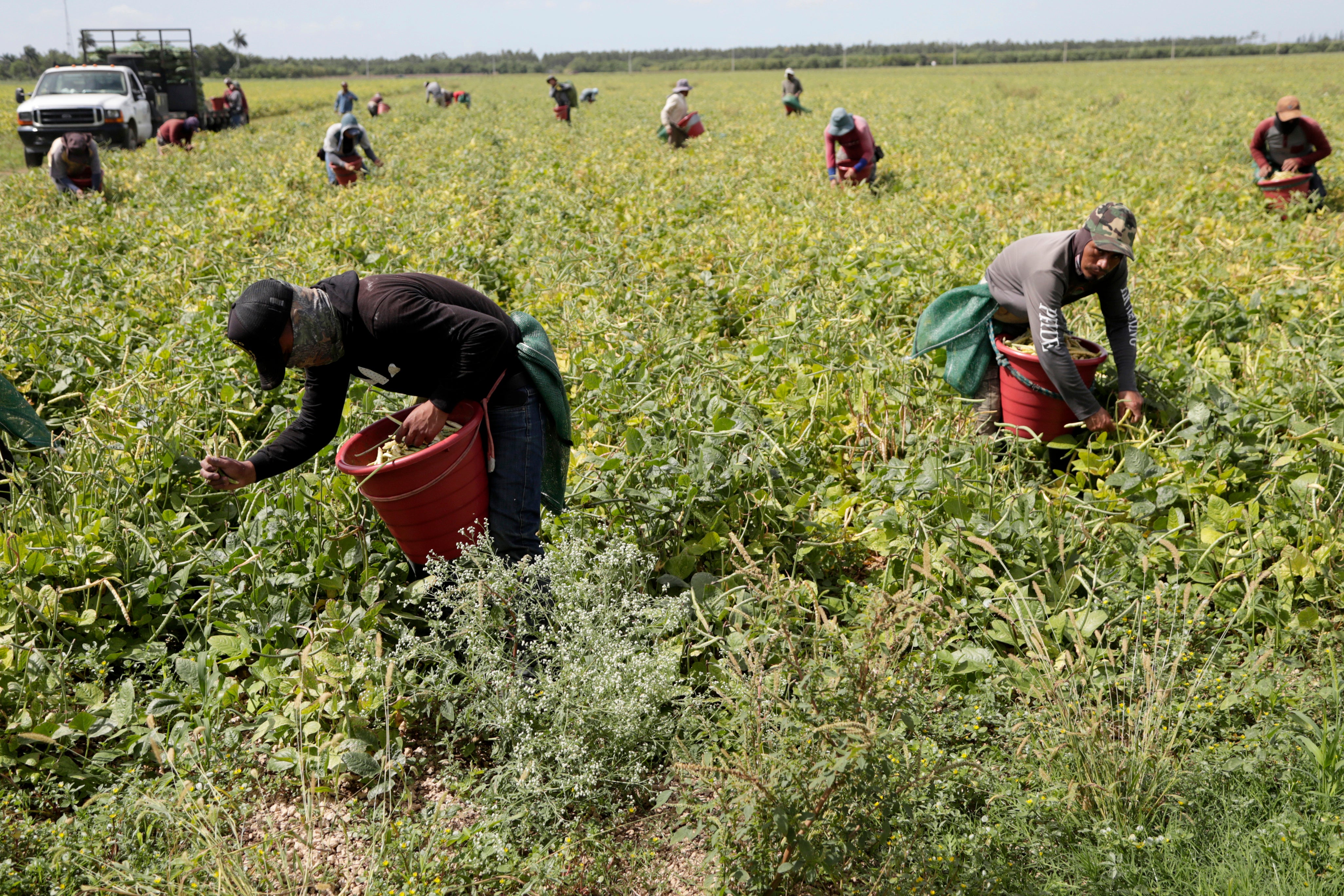 Virus Outbreak Farmworkers