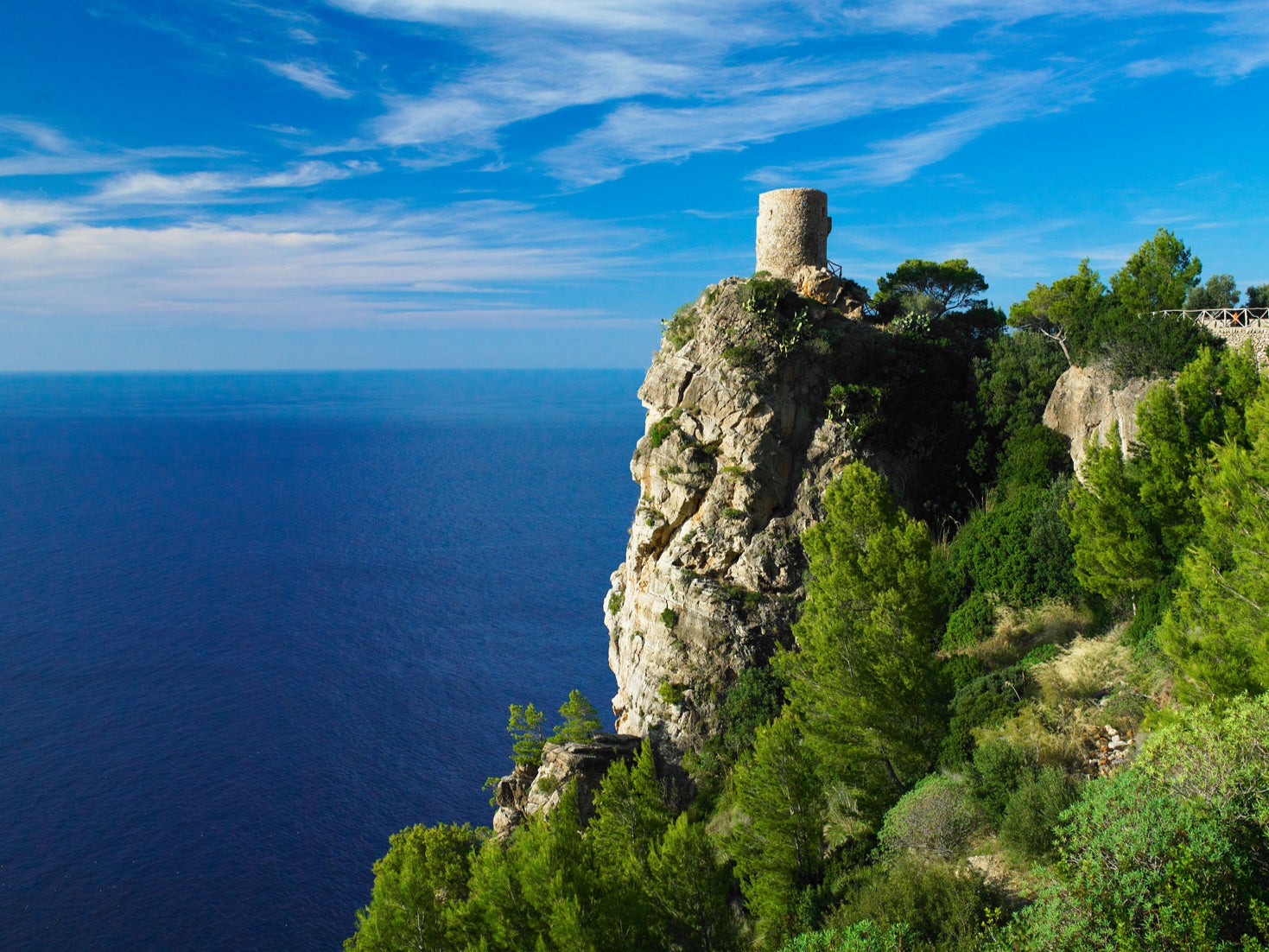 Mallorca is getting greener