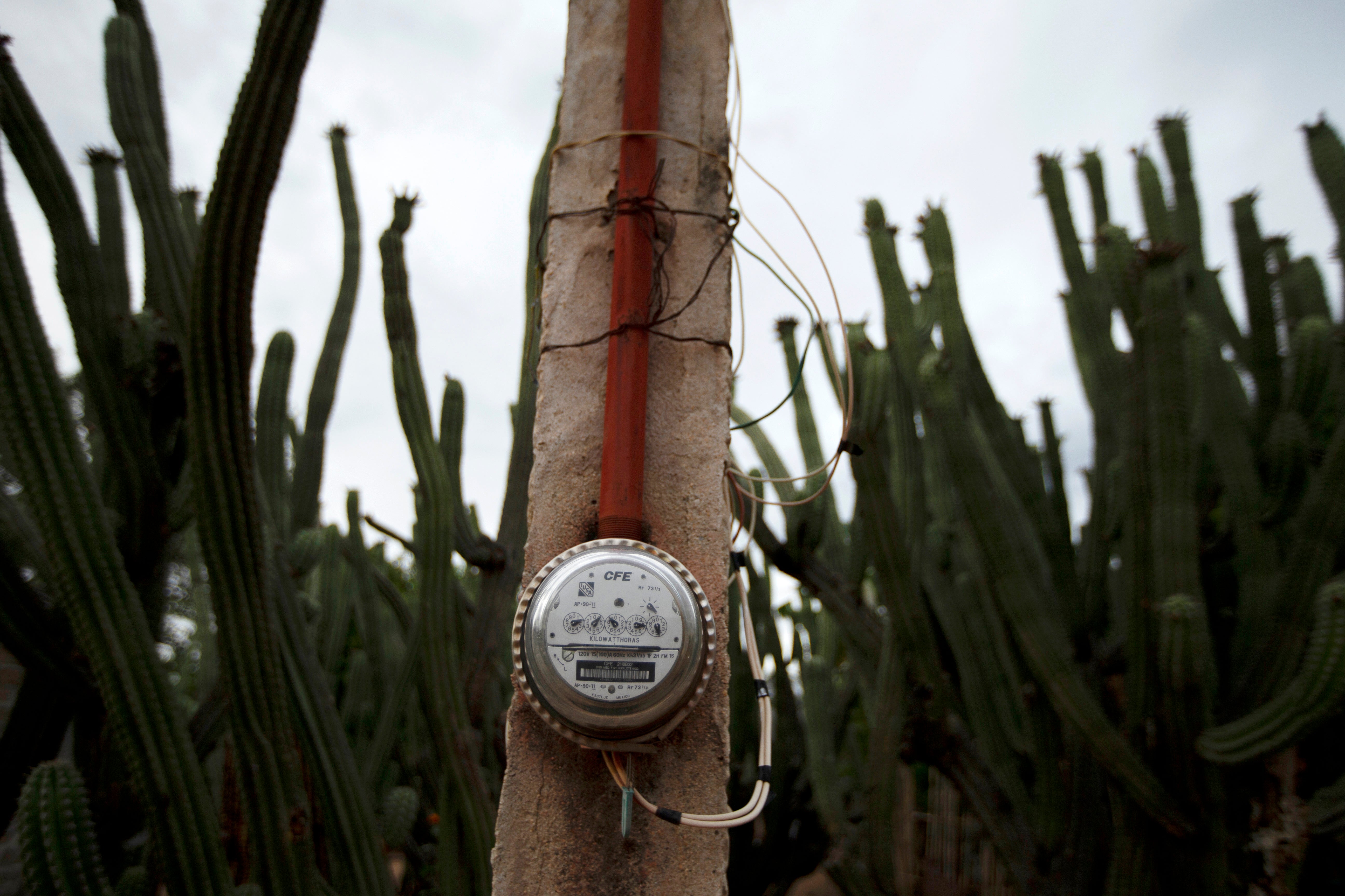 Mexico Electricity Battle