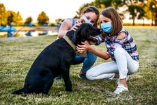 More than three million UK households bought a pandemic pet