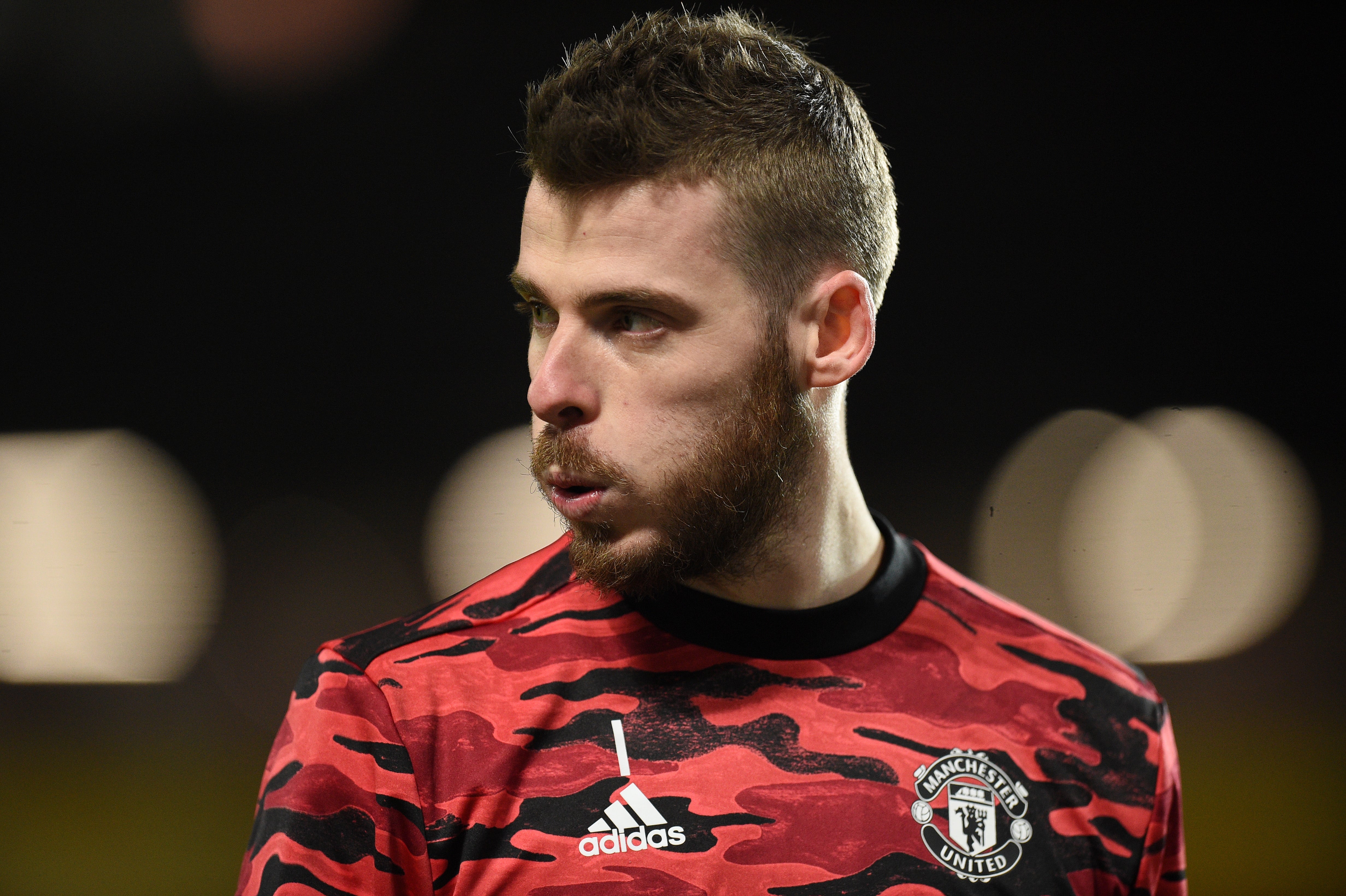 Manchester United goalkeeper David de Gea