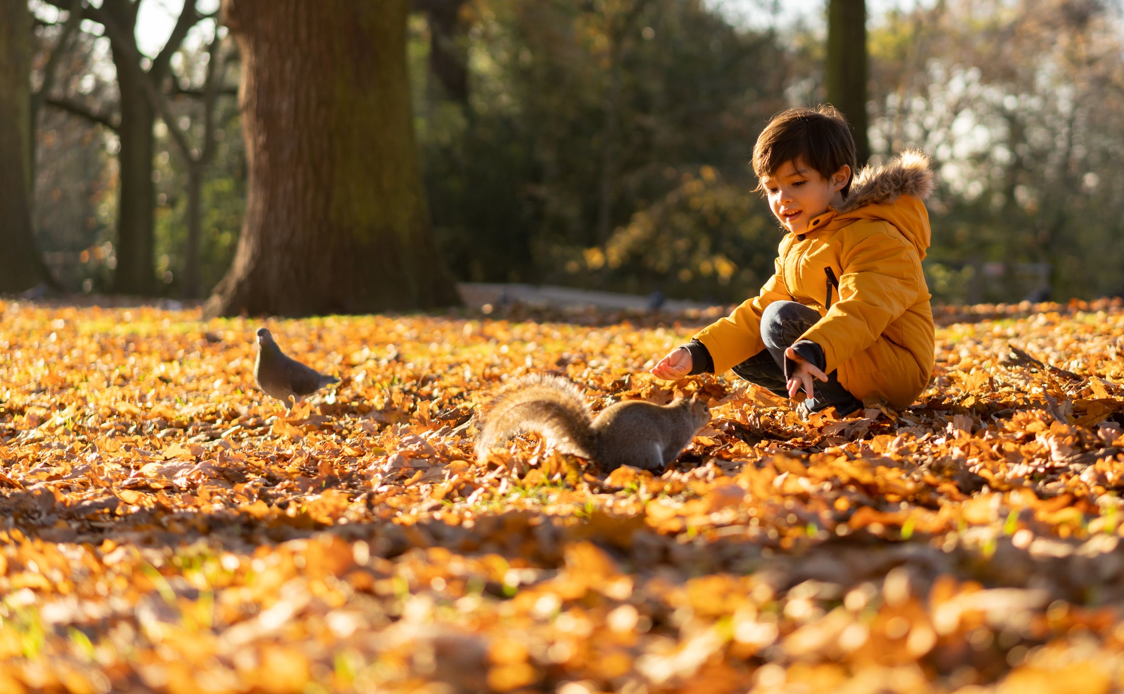 Some kids may have lost the habit of playing outside over the past year