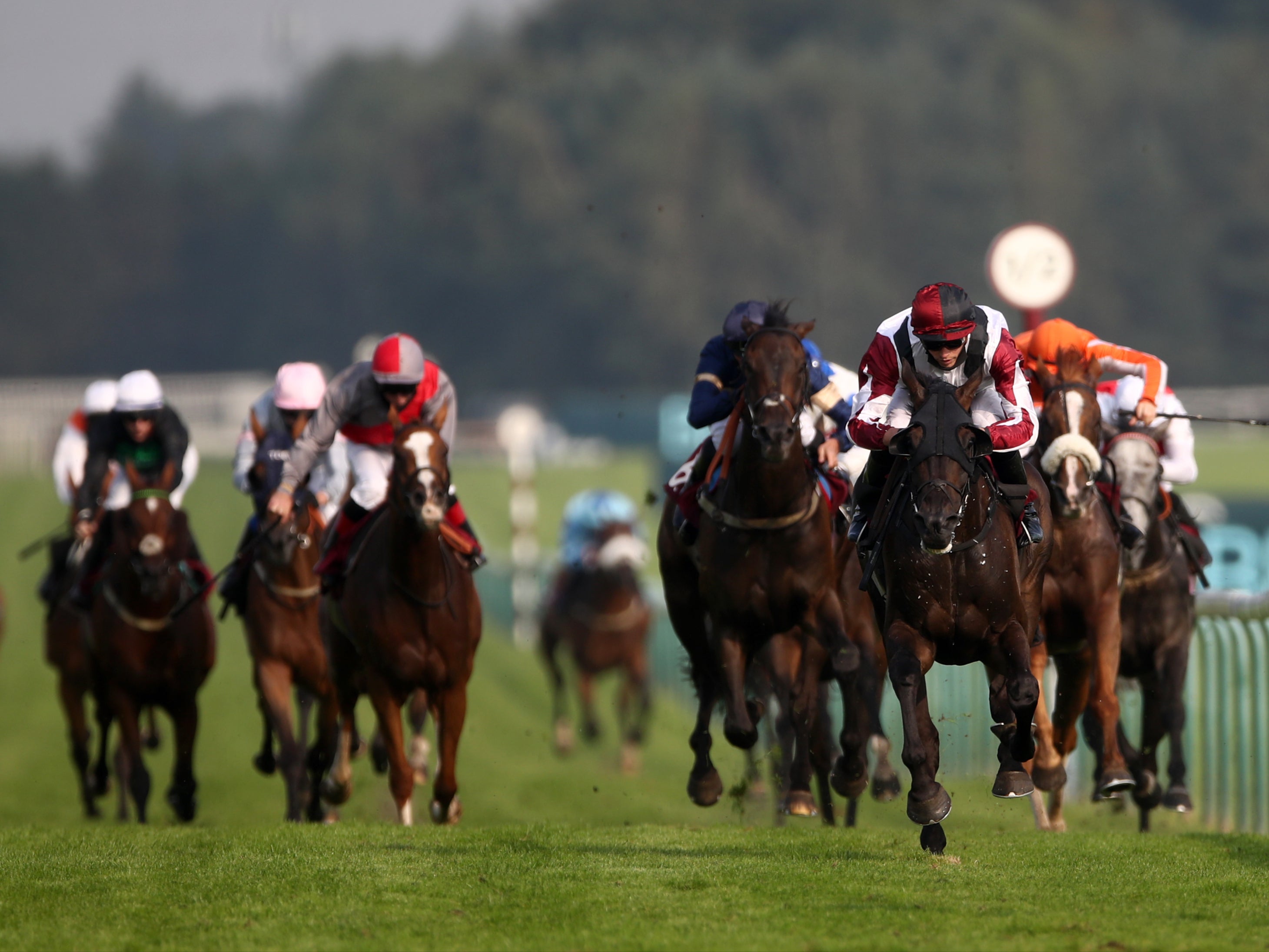 Leoncavallo ridden by James Doyle