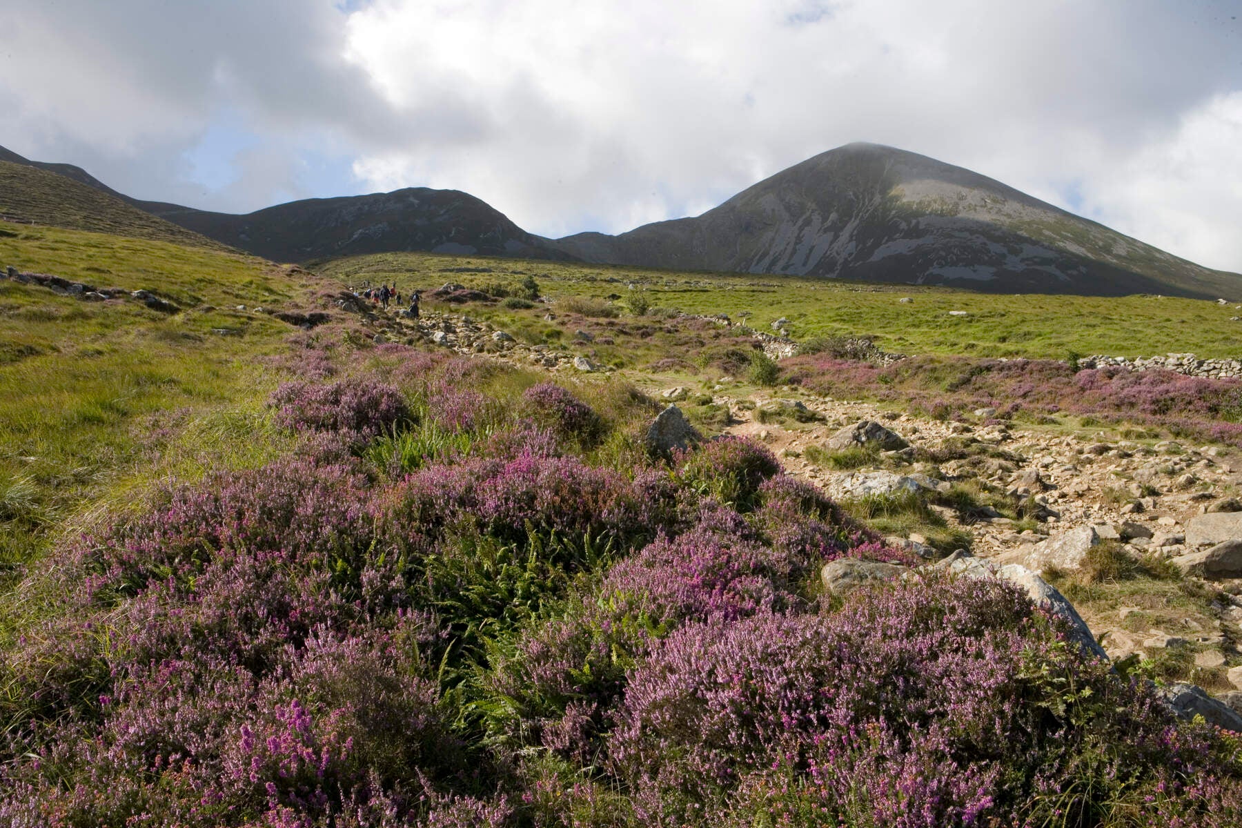 Pilgrims tackle the holy Irish mountain each year