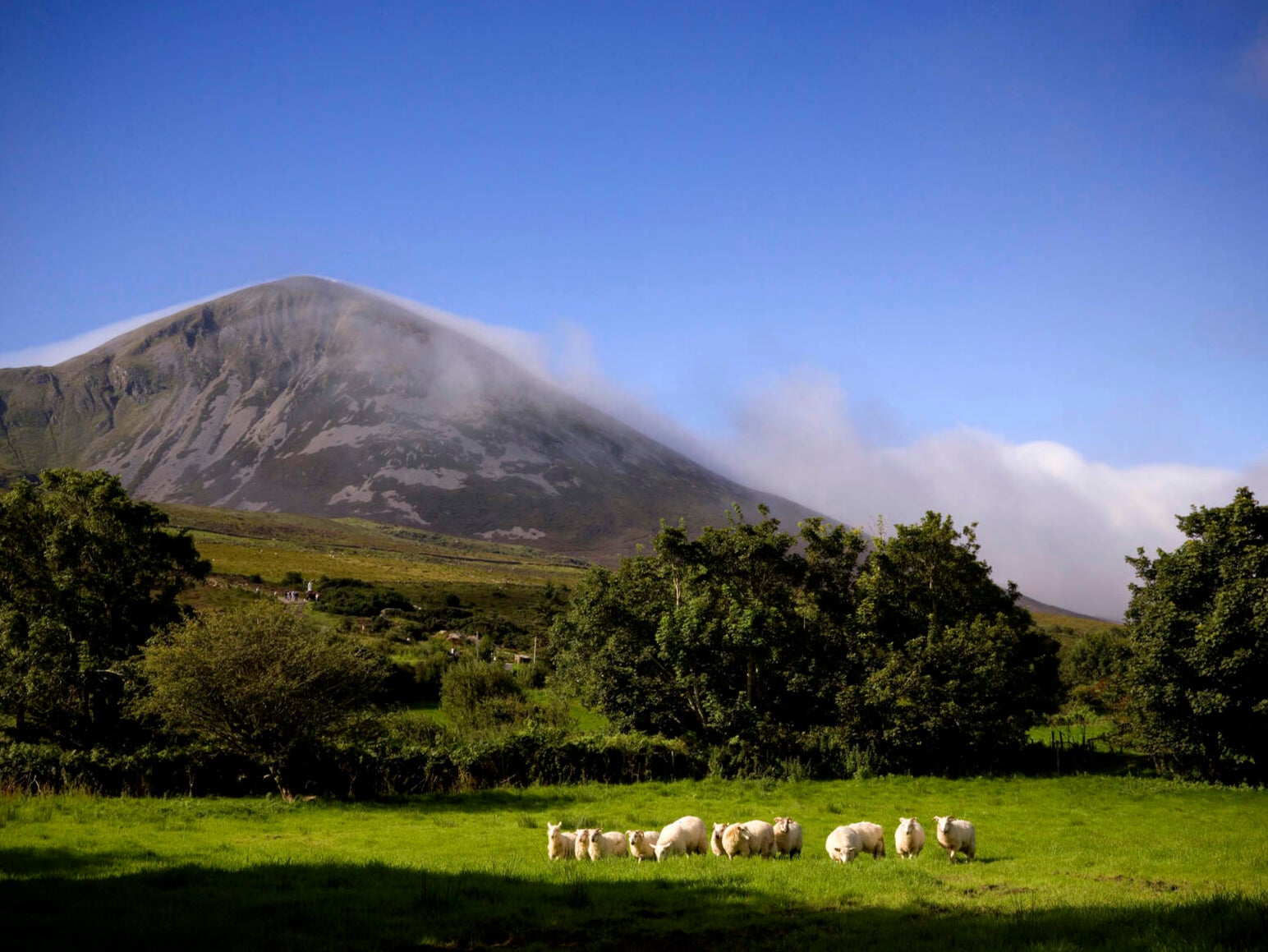 Croagh Patrick