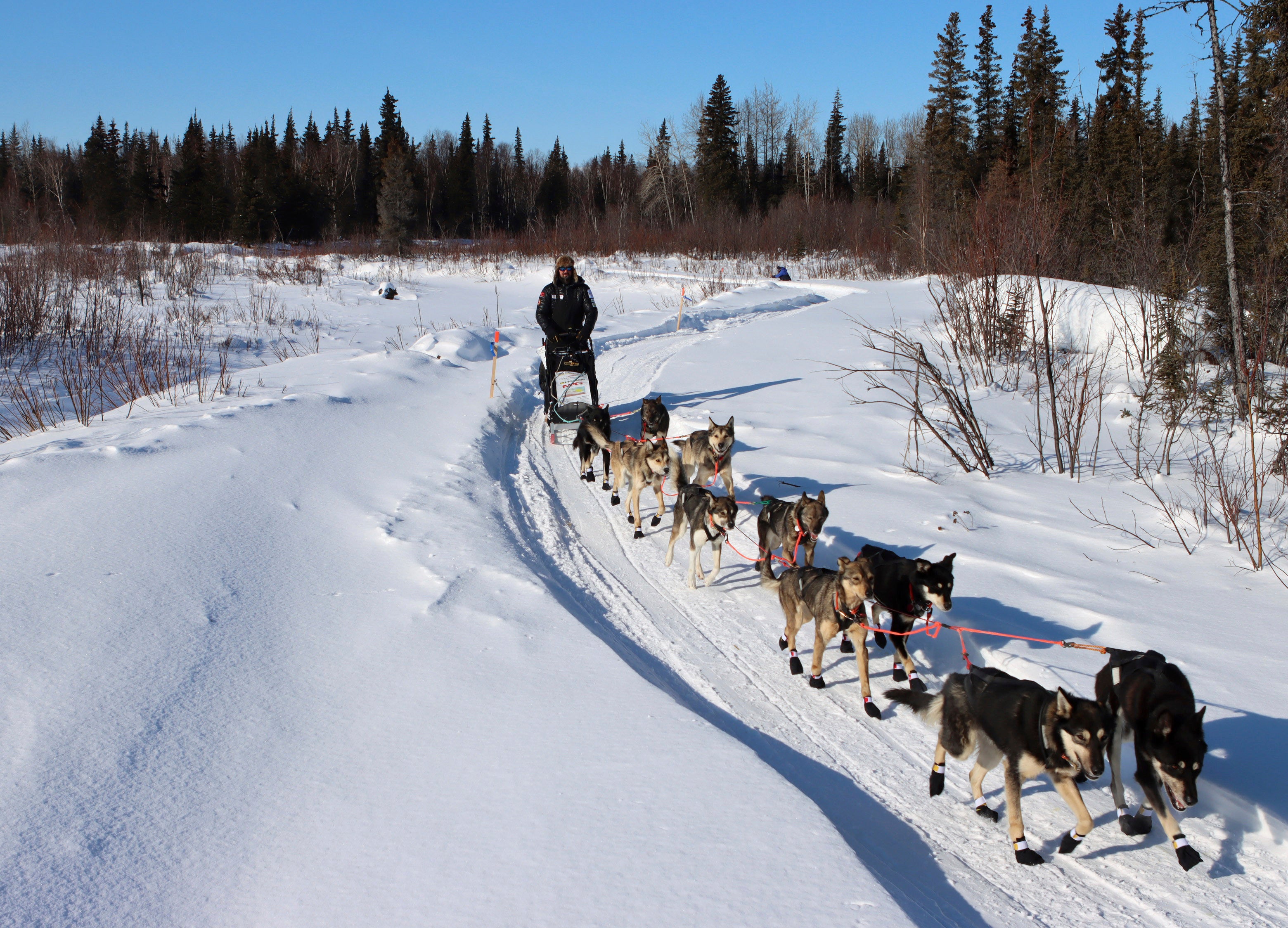 Iditarod Sled Dog Race