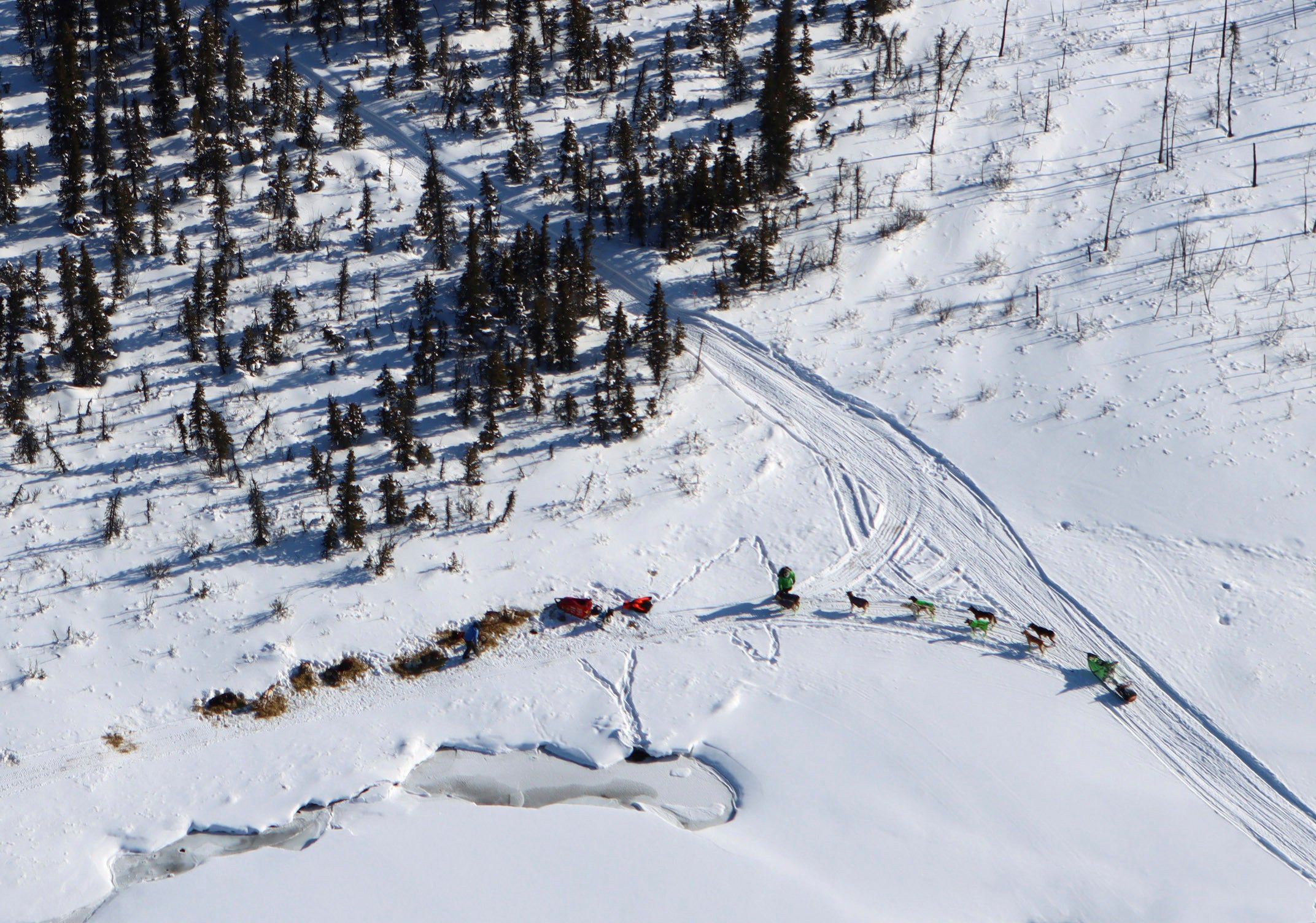 Iditarod Sled Dog Race