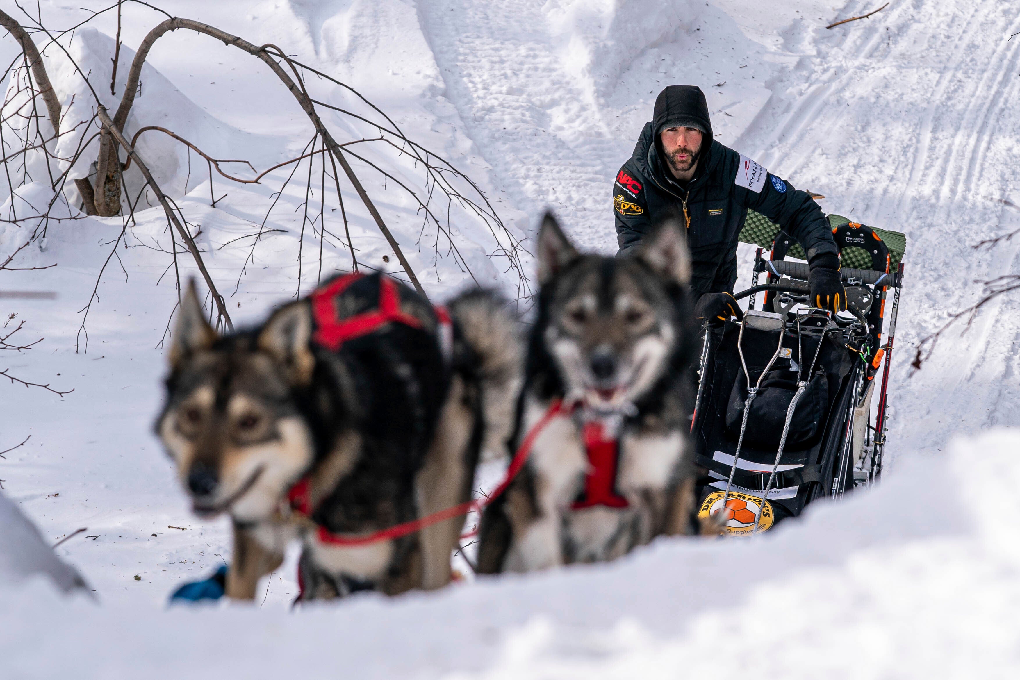 Richie Diehl mushes up the first part of the Happy River Steps on March 14, 2021 during the Iditarod, in Alask