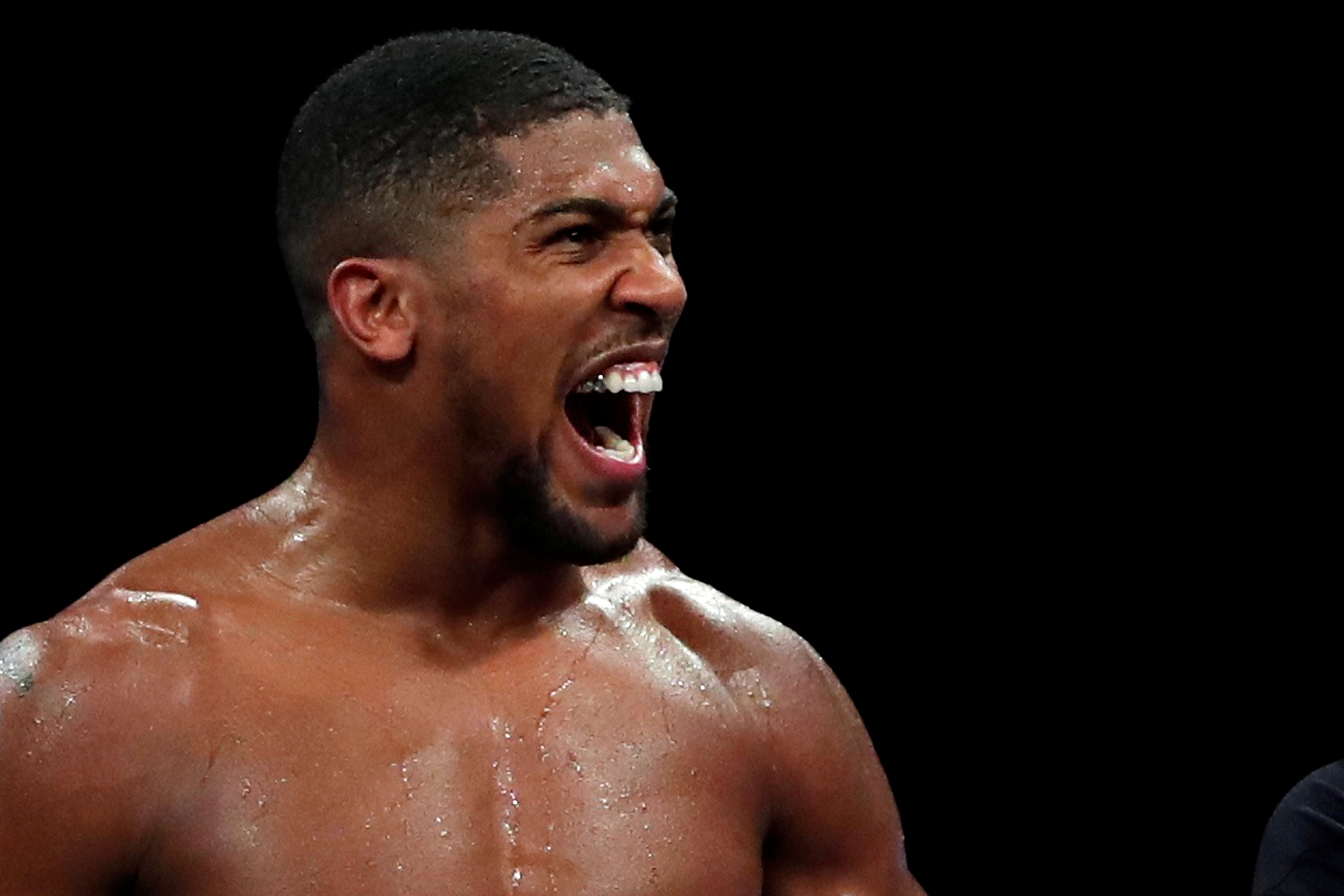 Anthony Joshua will face Tyson Fury this year