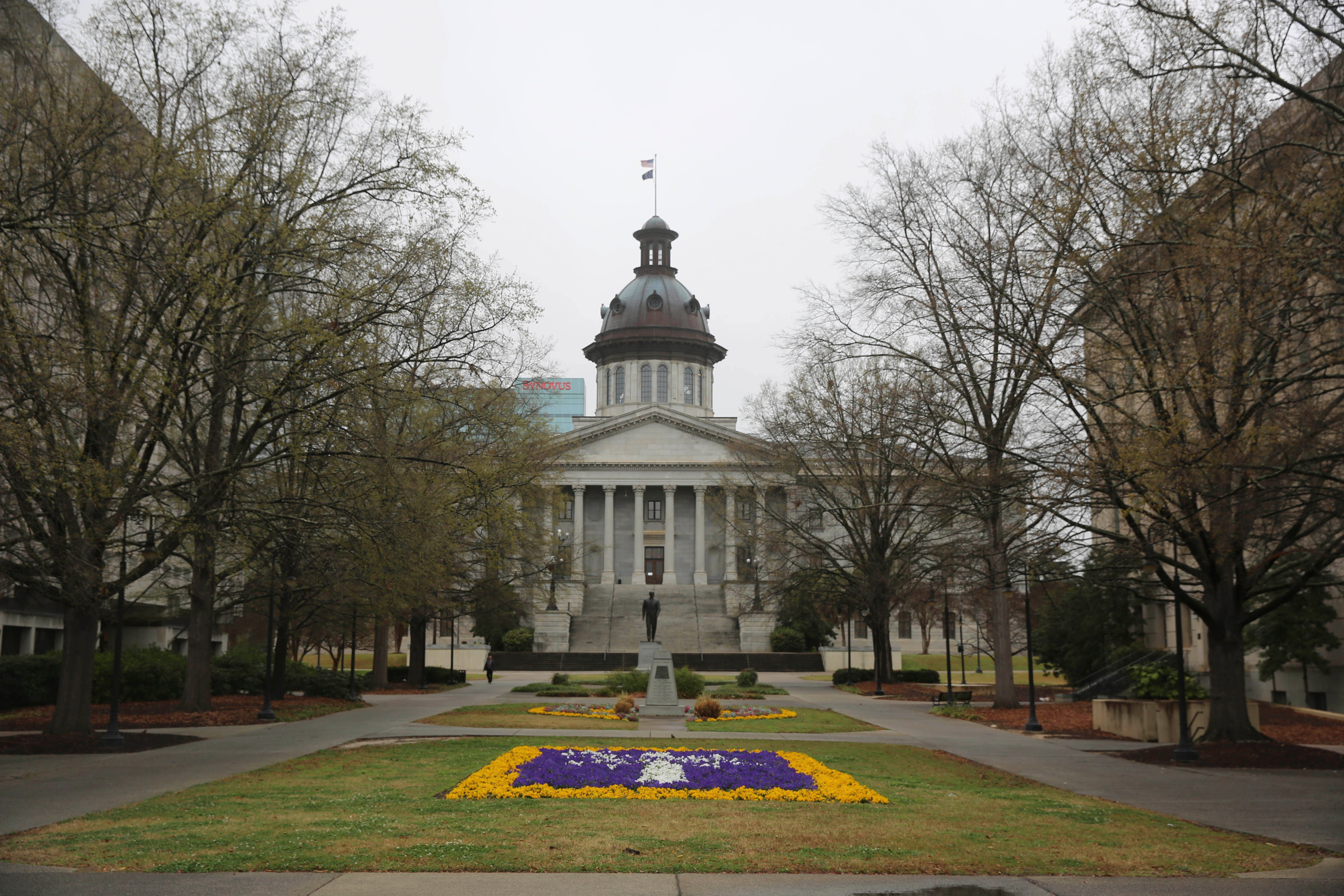 South Carolina Flag