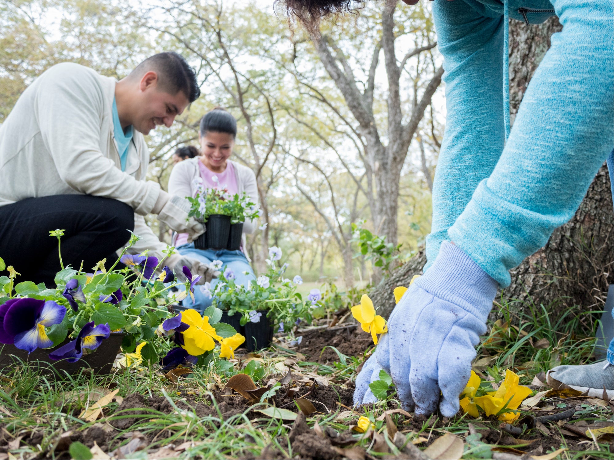 Find an existing group in your local area doing something real, such as a rewilding project with fruit tree planting included, running a green gym or maintaining a community garden