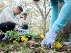 Three new year’s resolutions to help the planet