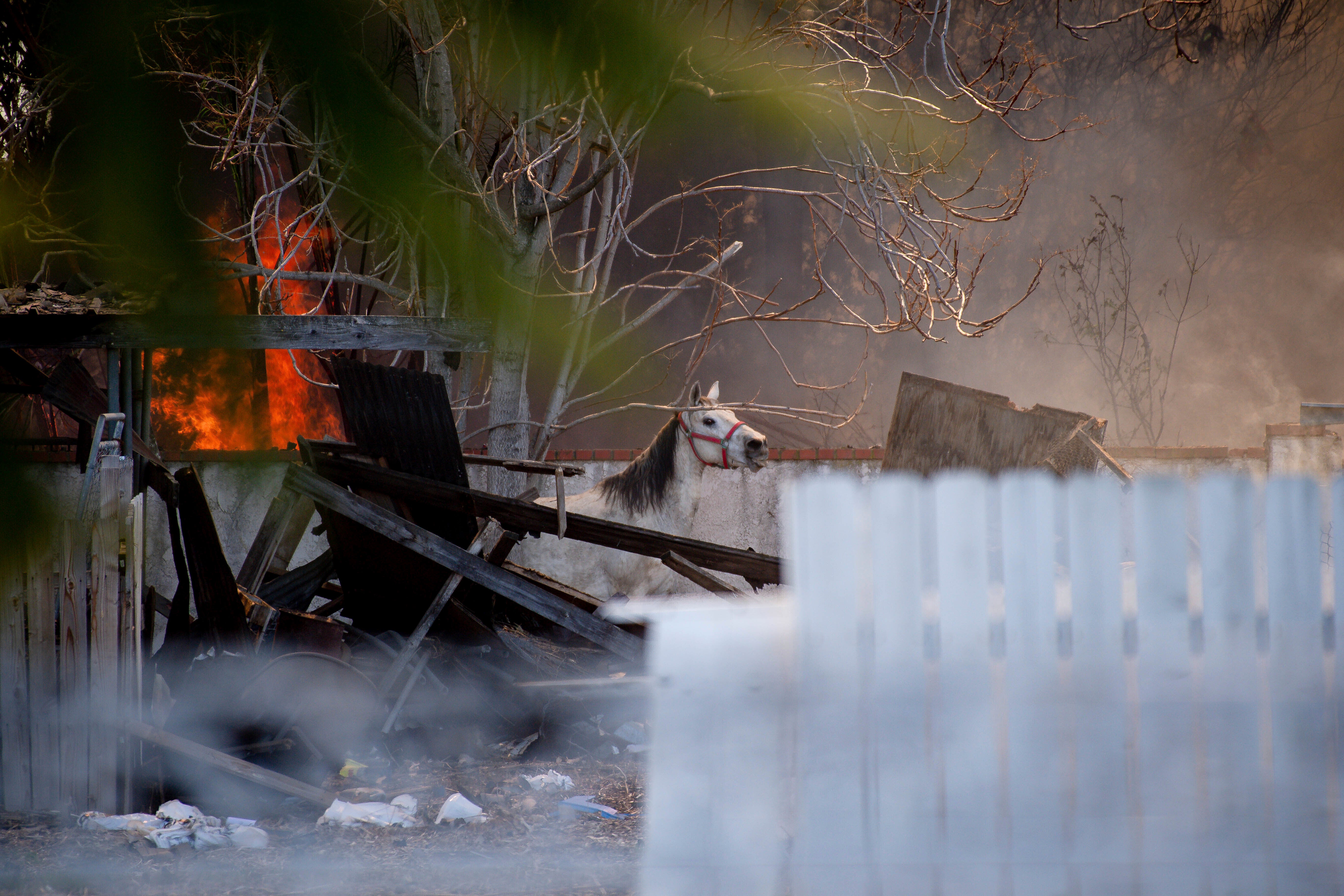 California Fireworks Blast