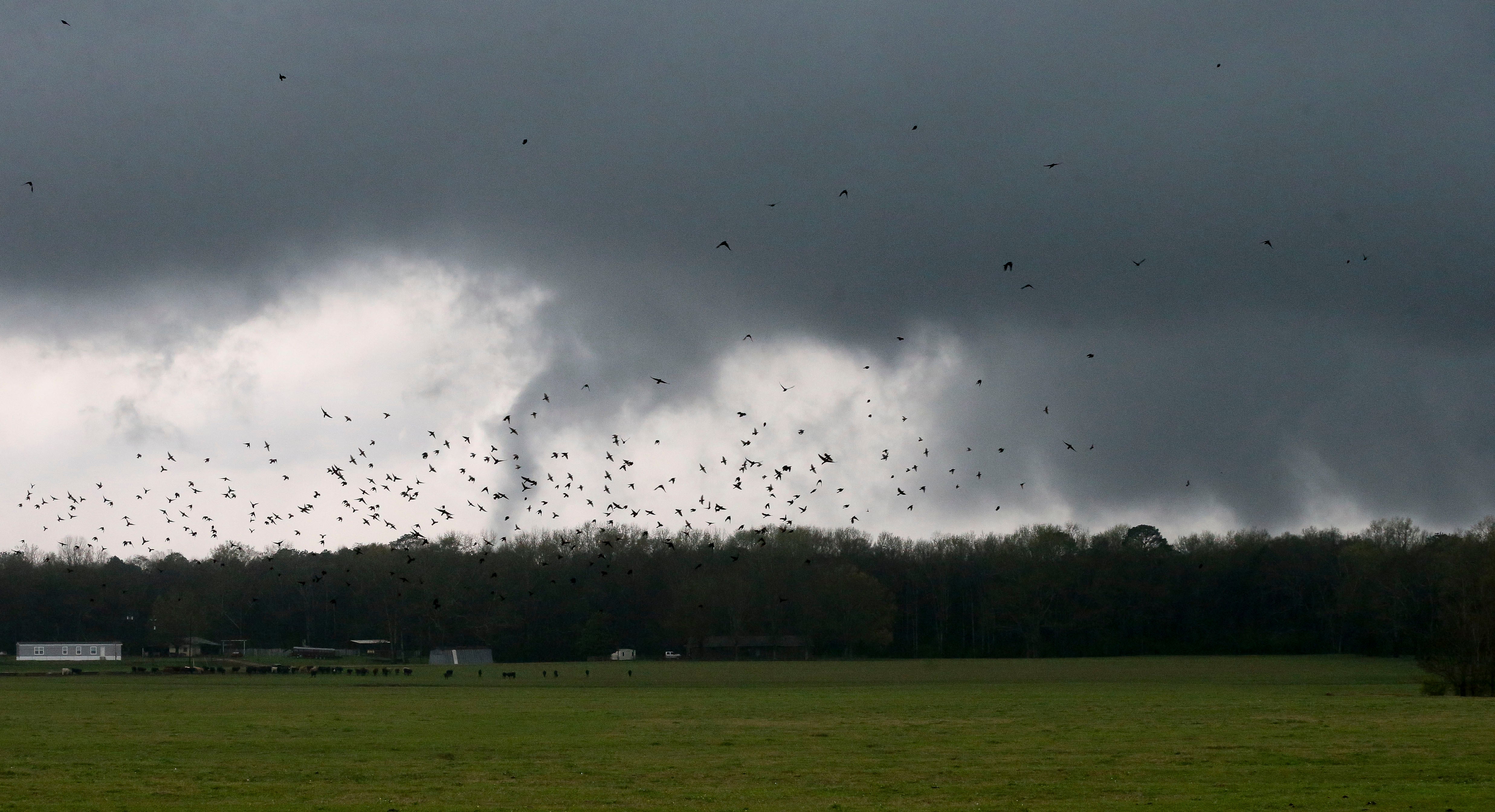 Severe Weather South