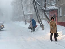 Microplastics found in snow in remotest Siberia, ‘risking health’ of humans and wildlife