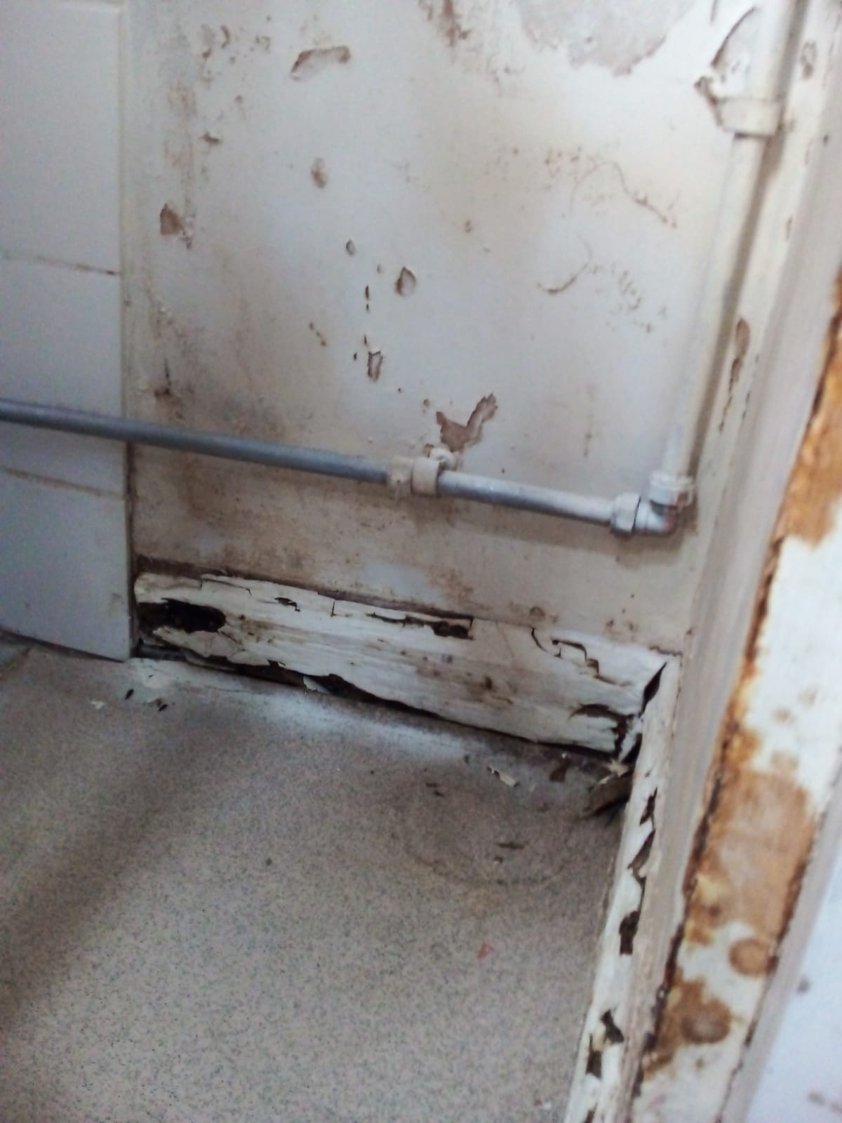 Photographs of the house in Ipswich show cracked, damp walls and skirting boards