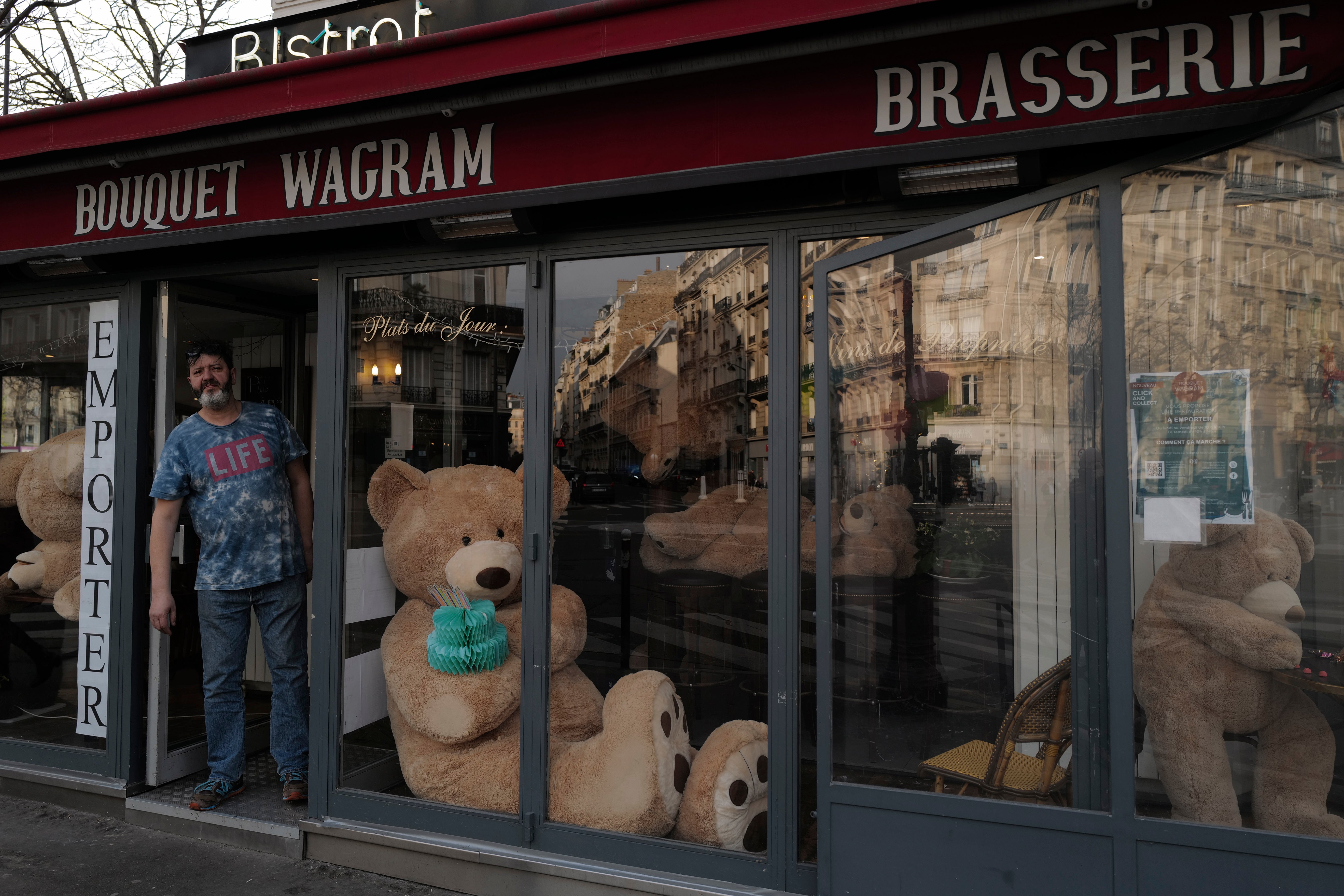 France Teddy Bears Photo Gallery