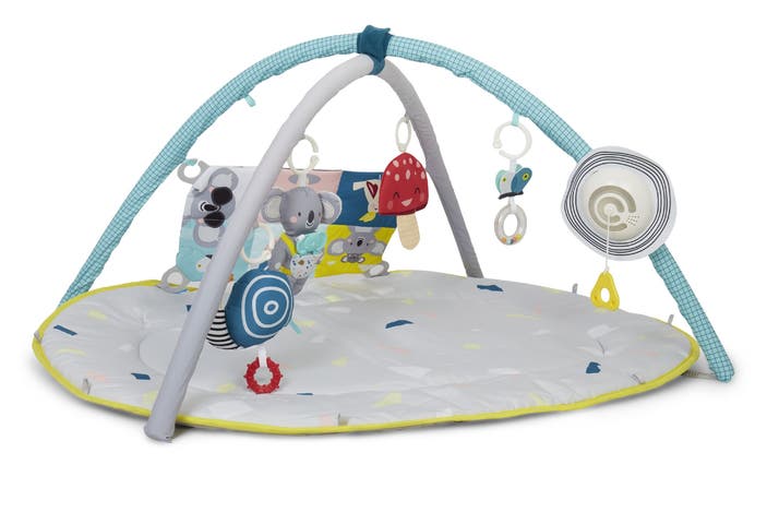 Taf Toys all around me gym indybest