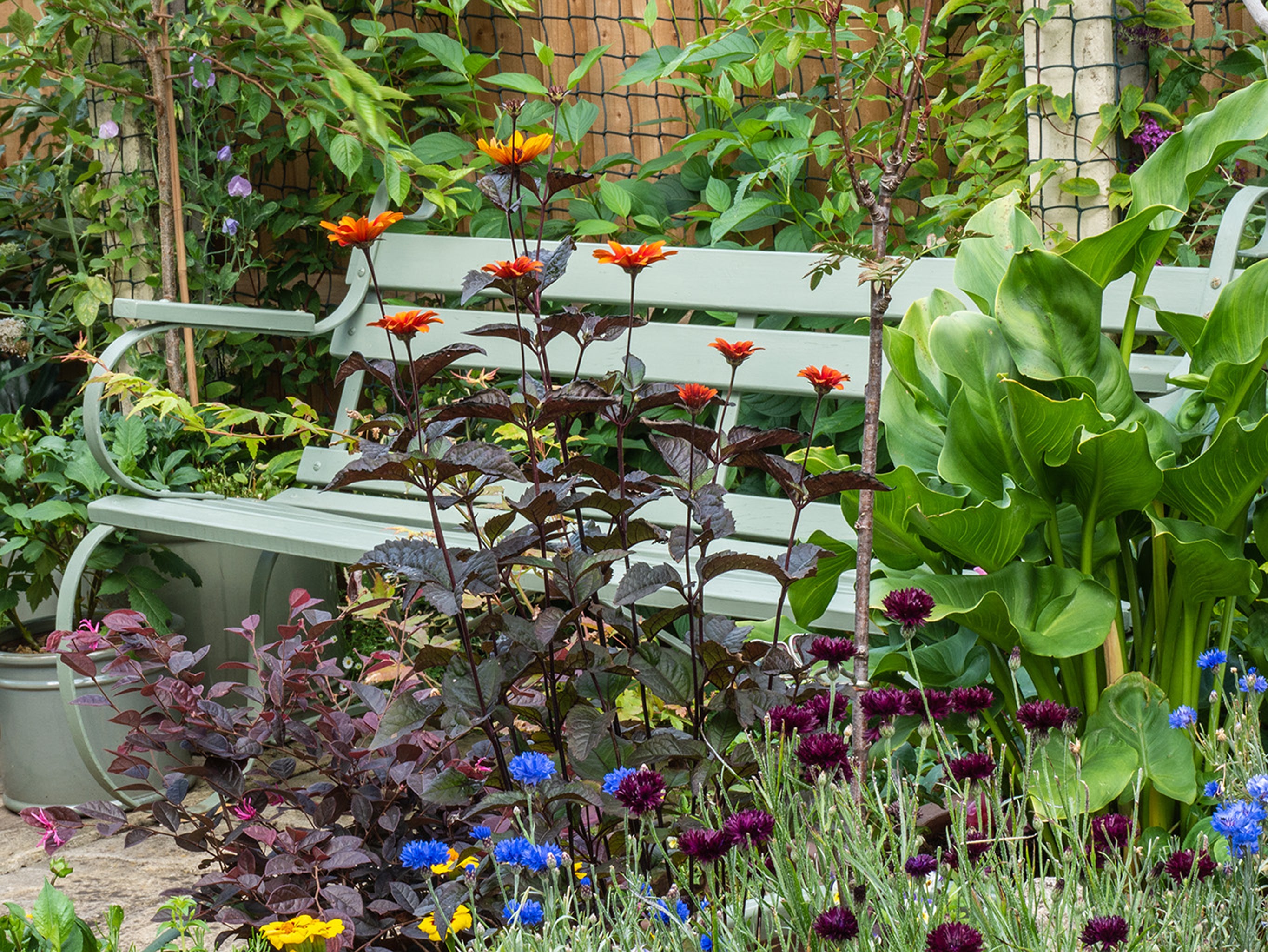 The small garden at Green Bough, Gloucestershire (National Garden Scheme/PA)