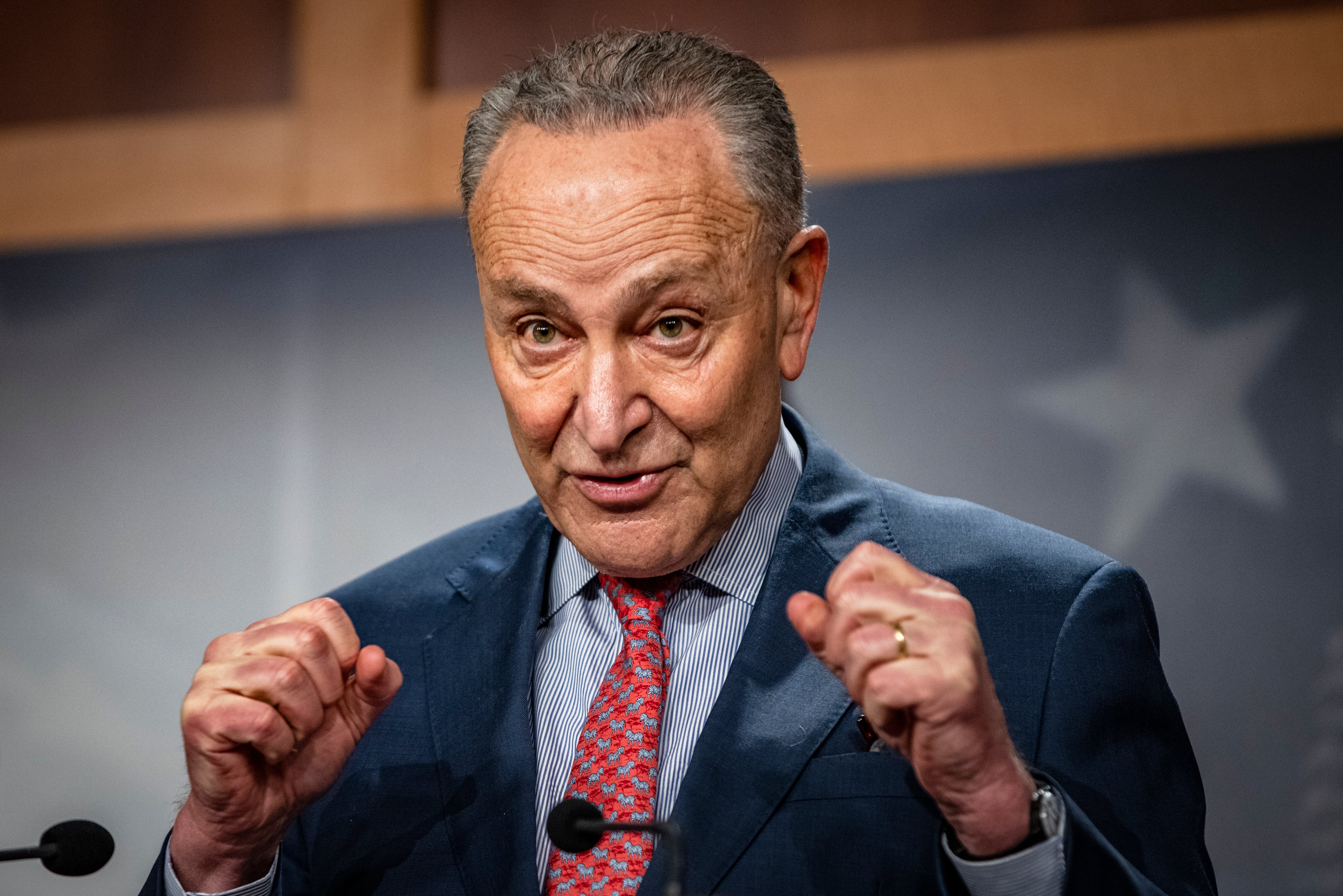 Congress Schumer