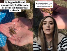 Woman goes viral on TikTok after unknowingly holding one of the ‘most venomous octopus species’ in the world