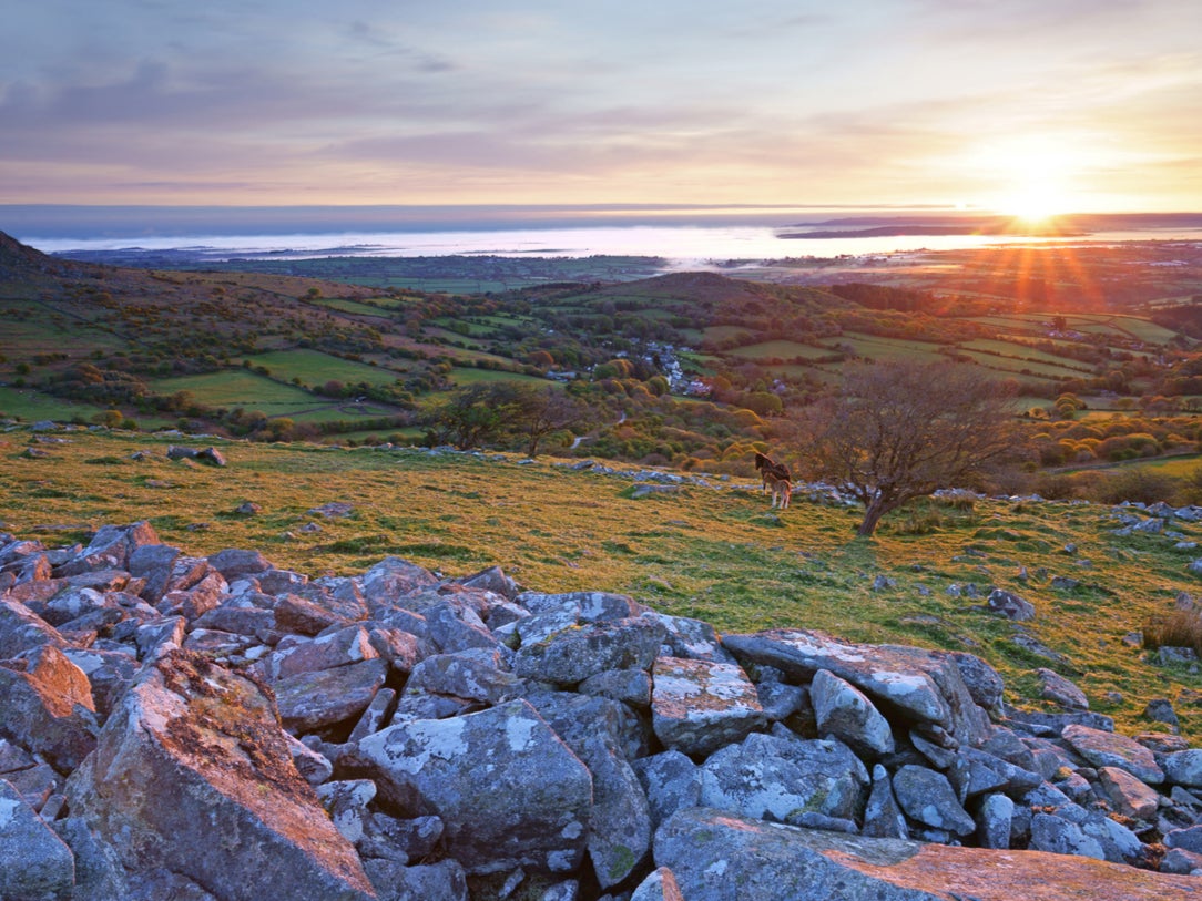 The ‘Beast’ of Bodmin Moor is legendary