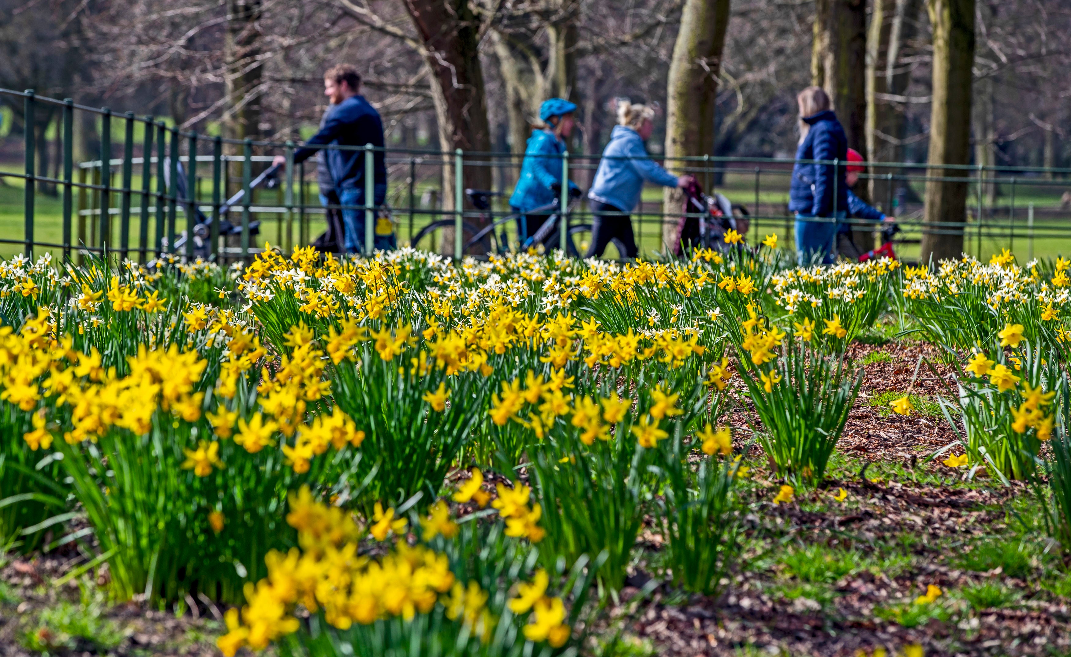 From 29 March, rules are changing and six people from different households will be permitted to meet outdoors