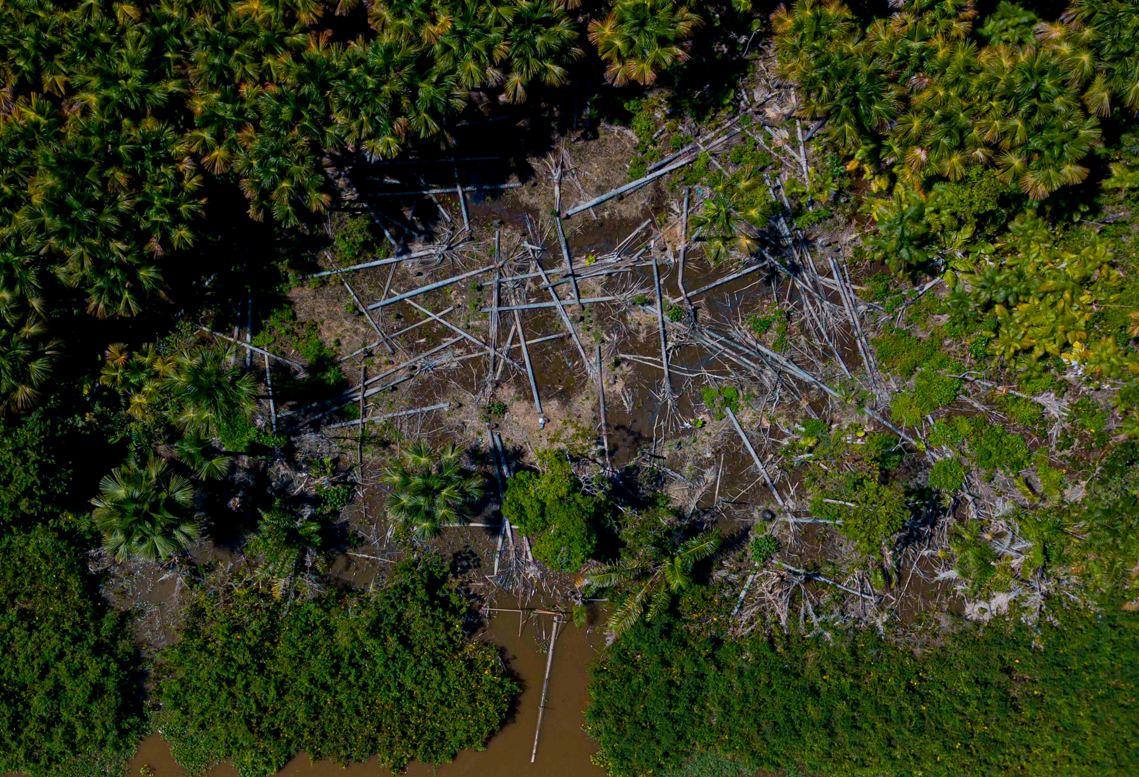 Deforestation in the Brazilian Amazon at a 12-year high last year