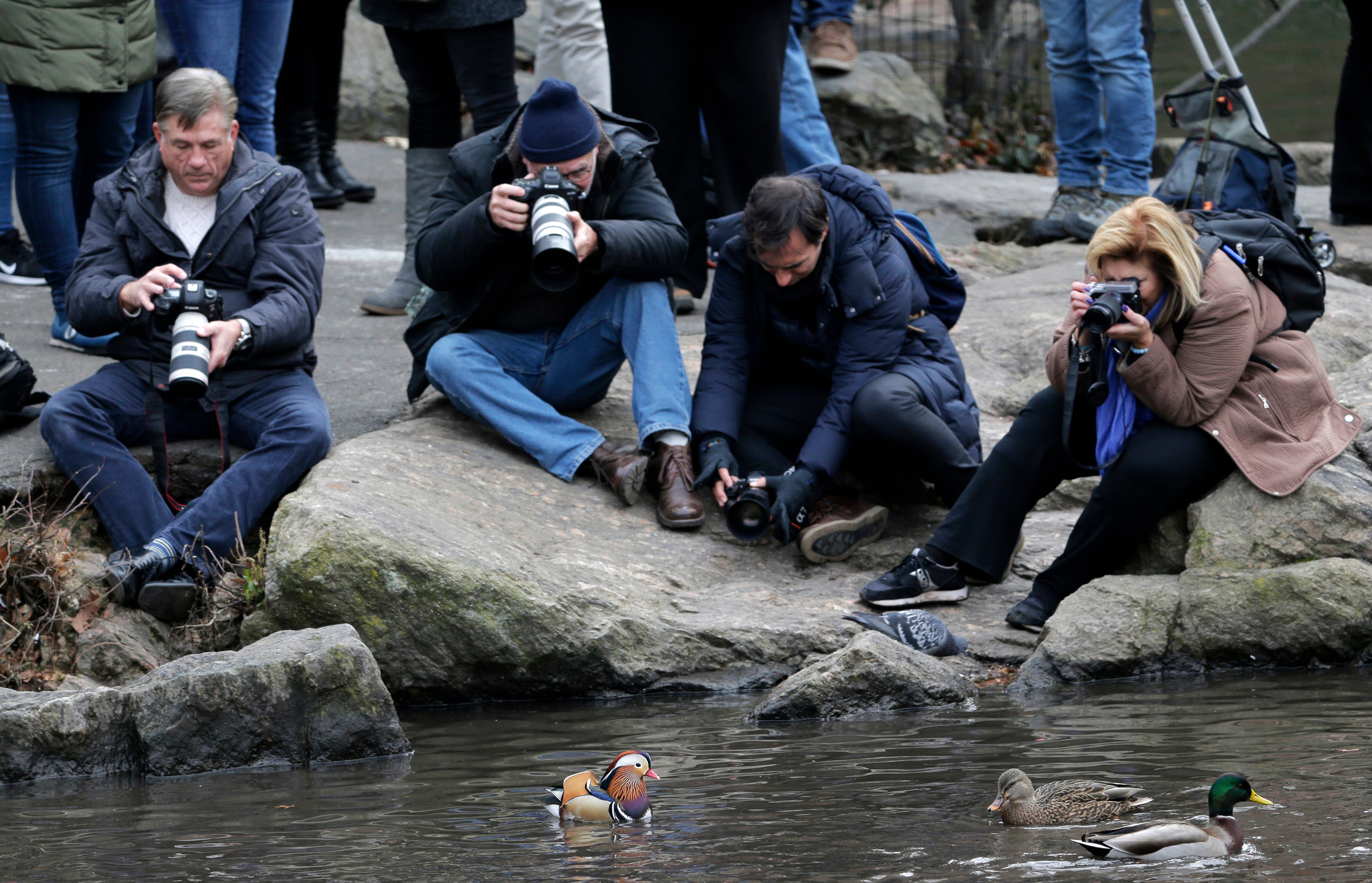 Outdoors-Birding in the Park