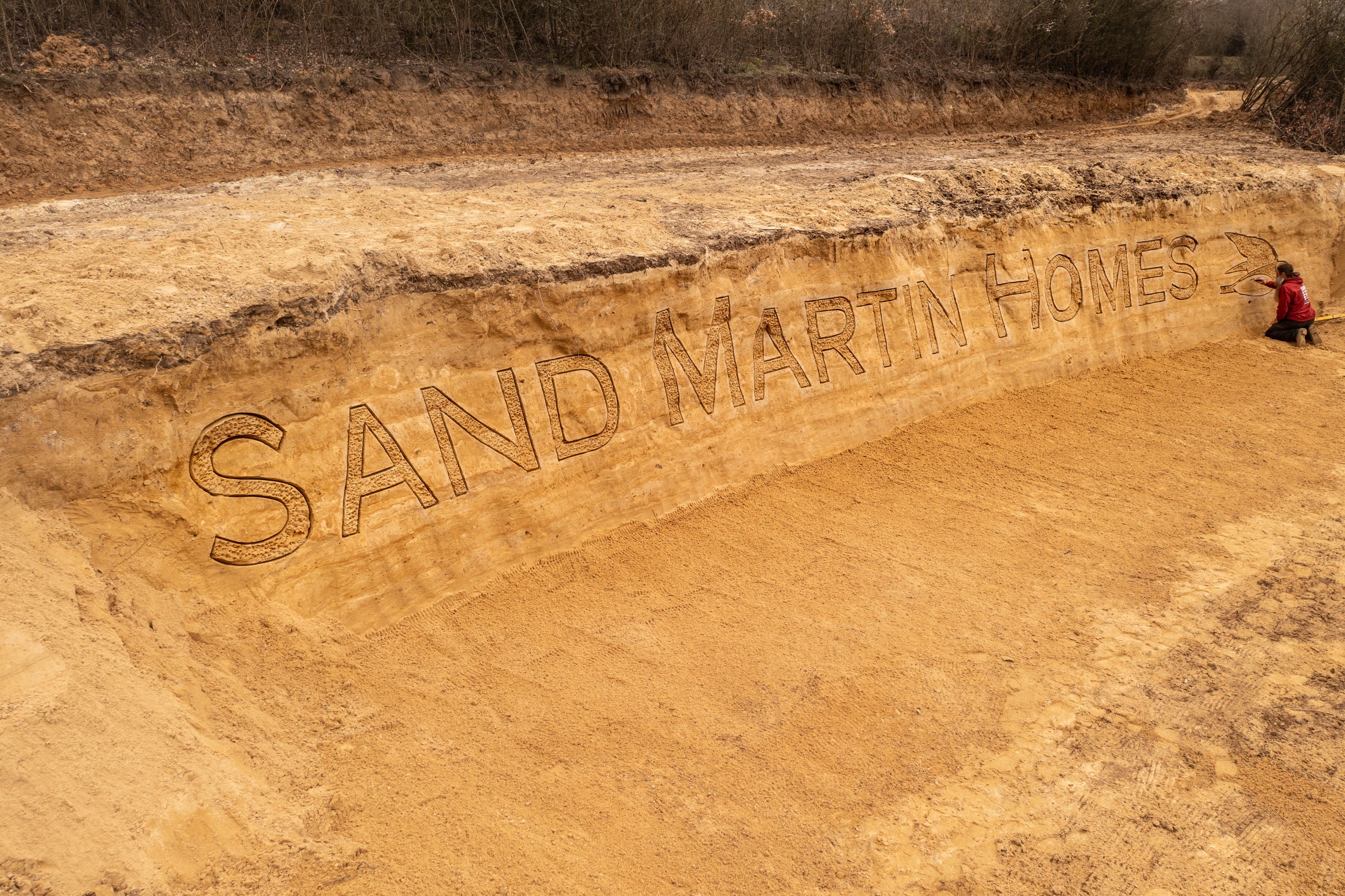 The face of a giant ‘sandcastle’ created to encourage sand martins to nest at Spynes Mere