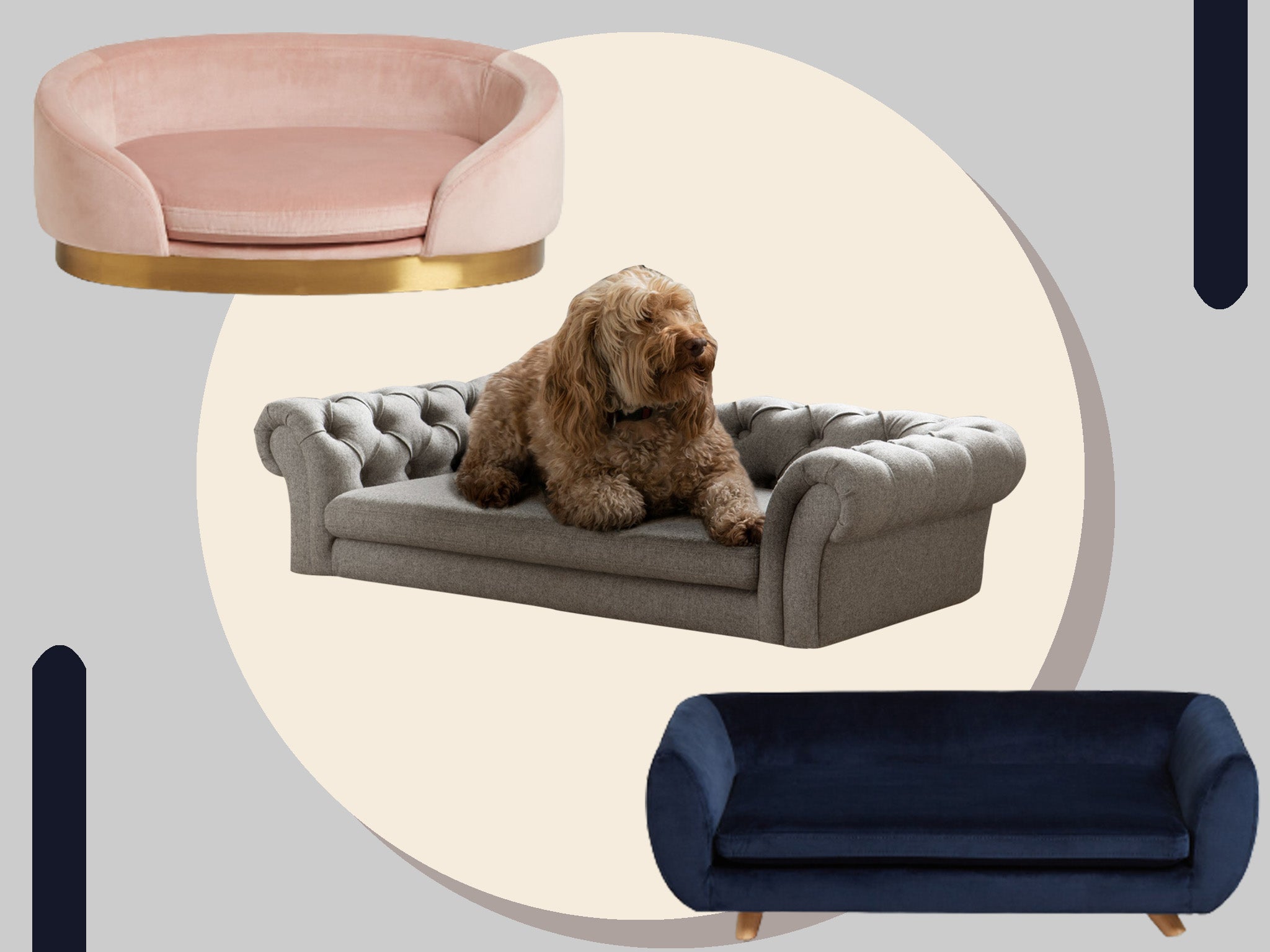 Perhaps a sofa to themselves will finally keep your furry friend off the couch