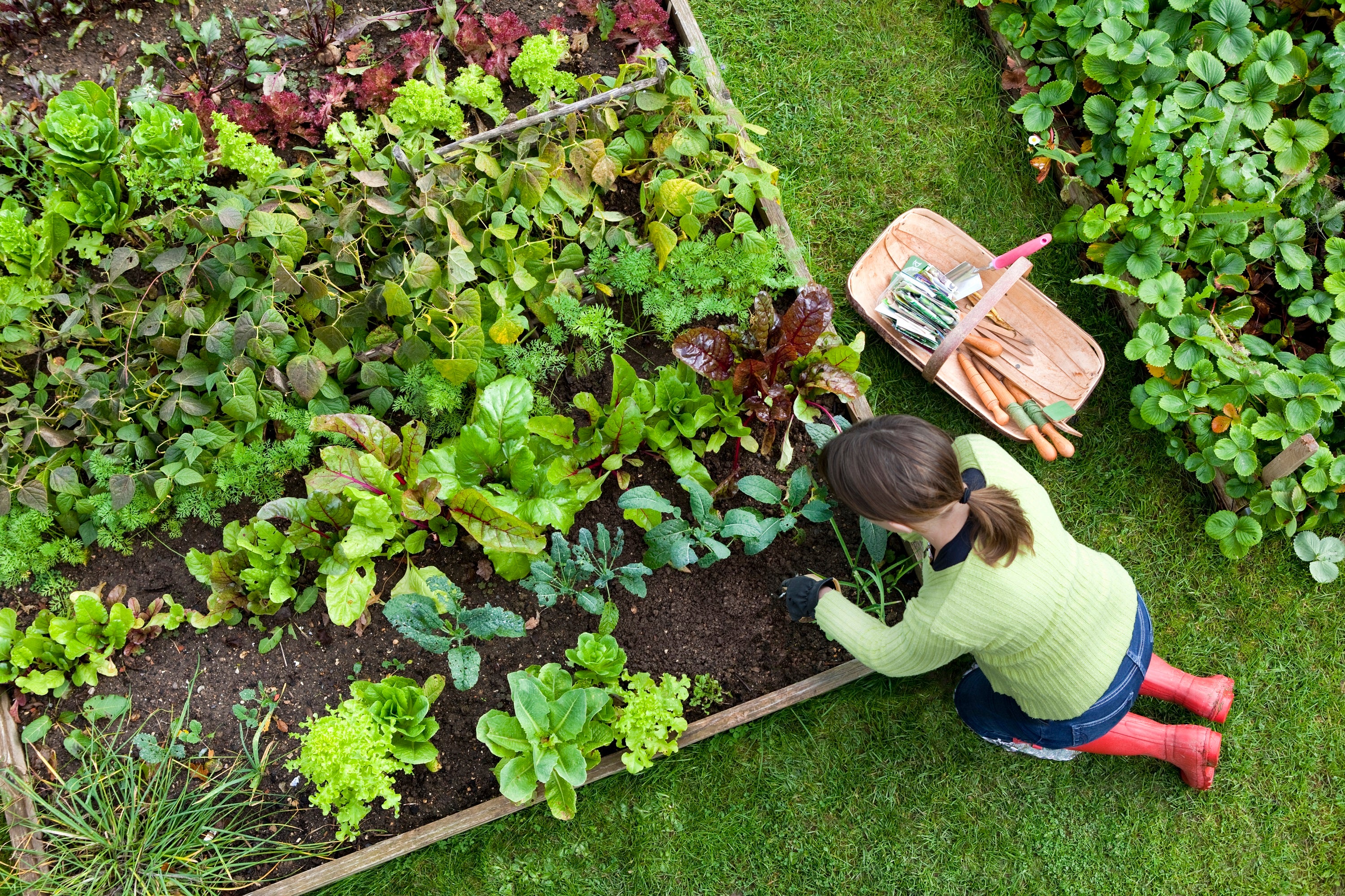 woman gardening at a raised bed