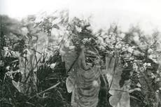 The true story of the Cottingley Fairies hoax
