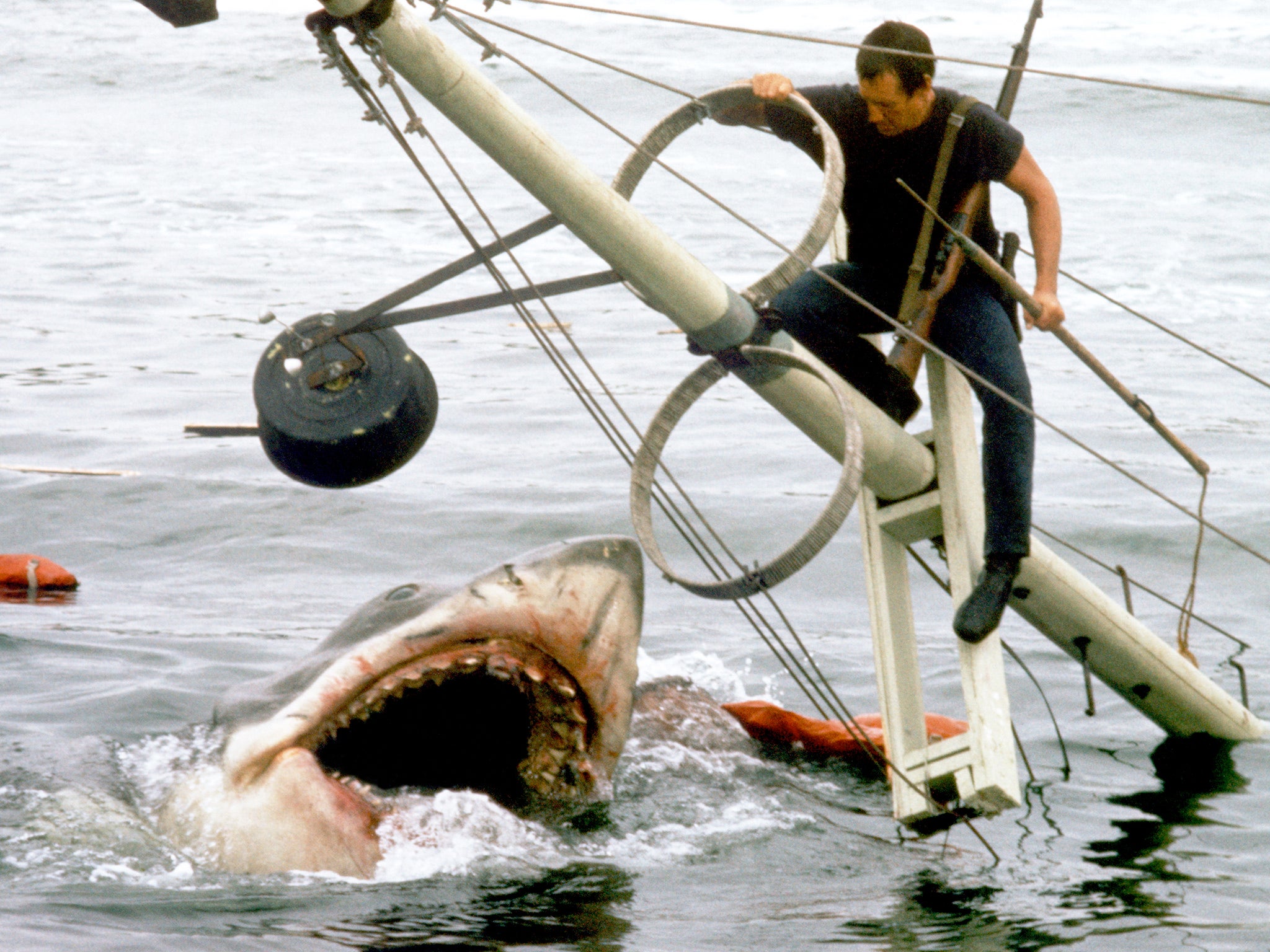 American actor Roy Scheider on the set of Jaws, directed by Steven Spielberg