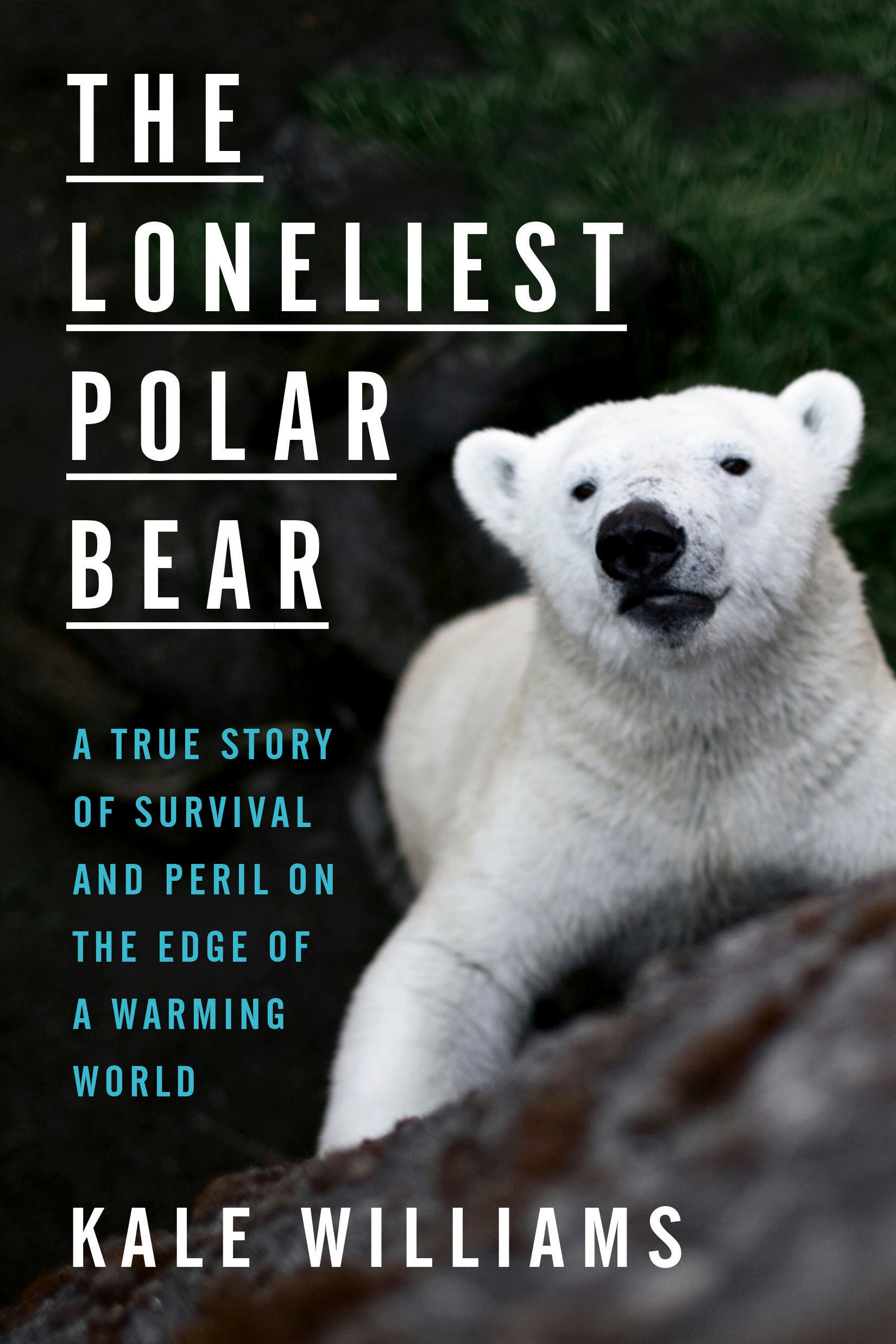 Book Review - The Loneliest Polar Bear