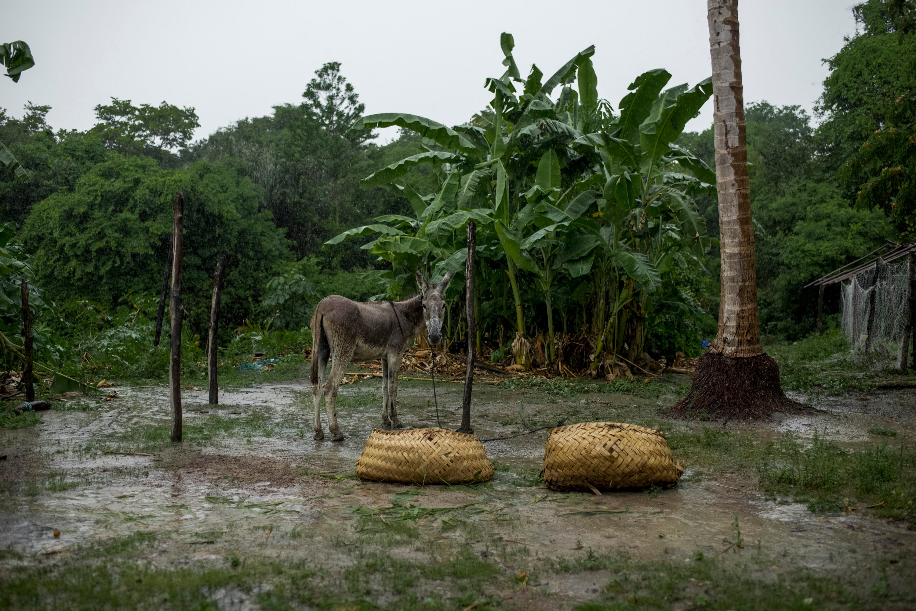 Communities in Alcantara’s quilombos survive off basic agriculture