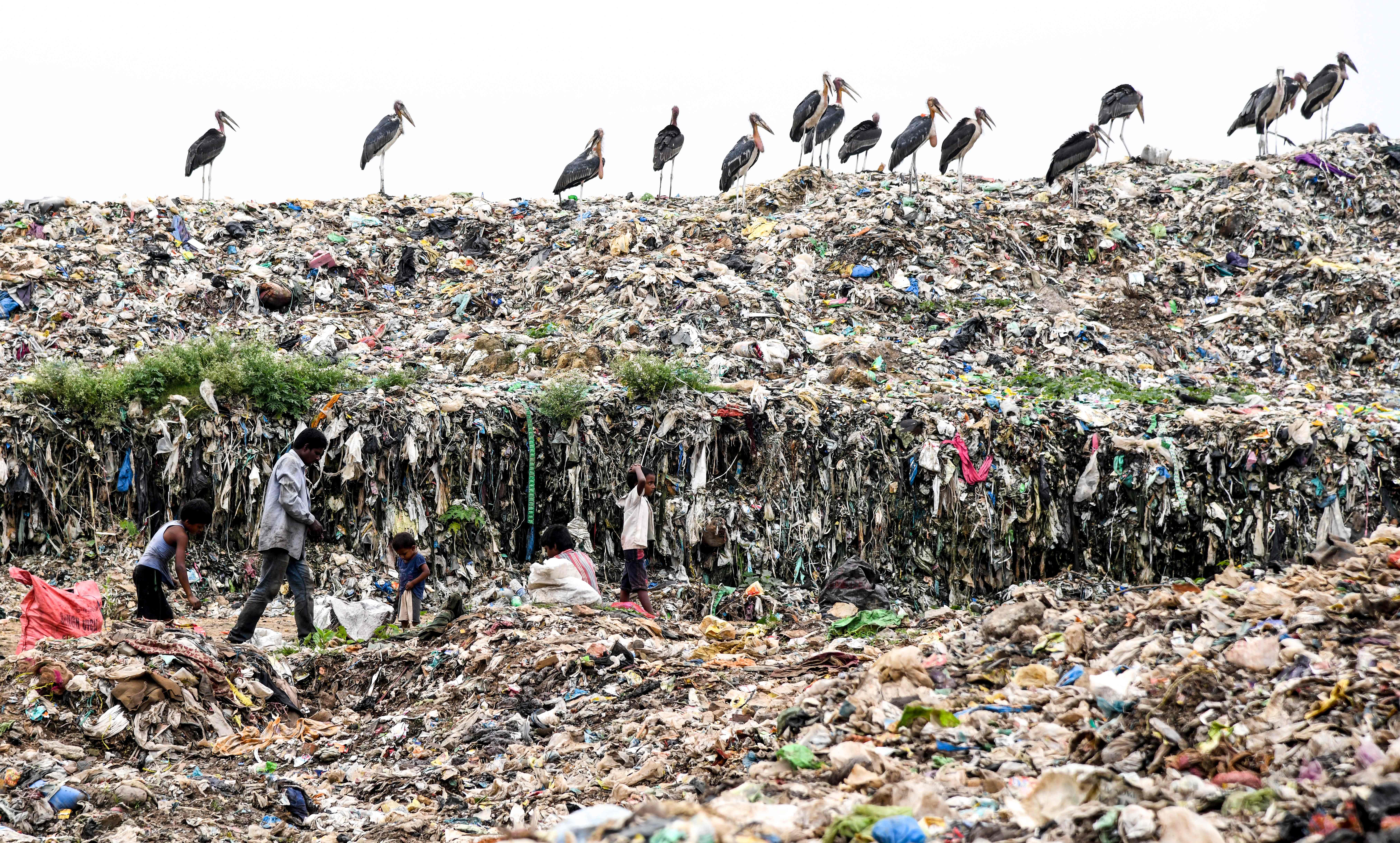 India is home to nearly two million waste pickers, the UN says