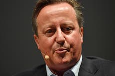 David Cameron ‘attempted to lobby second minister’ over Covid funds for Greensill