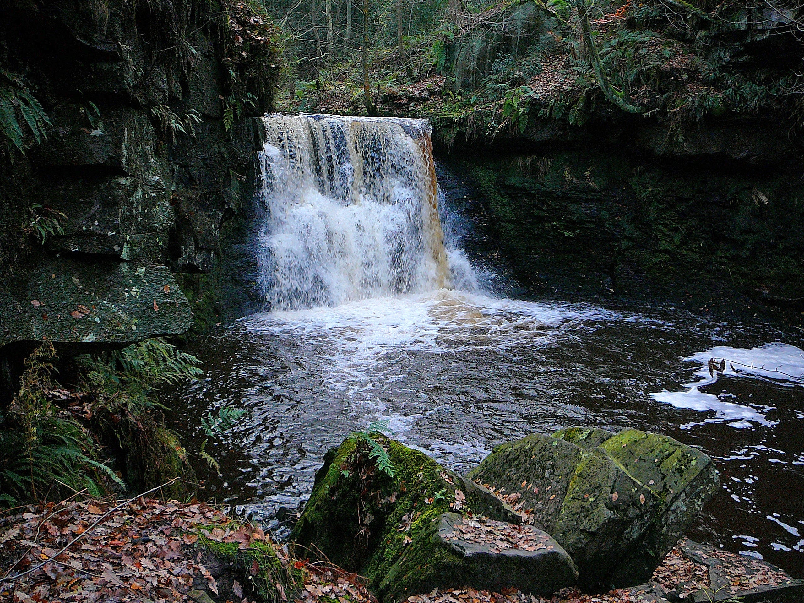 The incident took place at Goit Stock waterfall on Tuesday