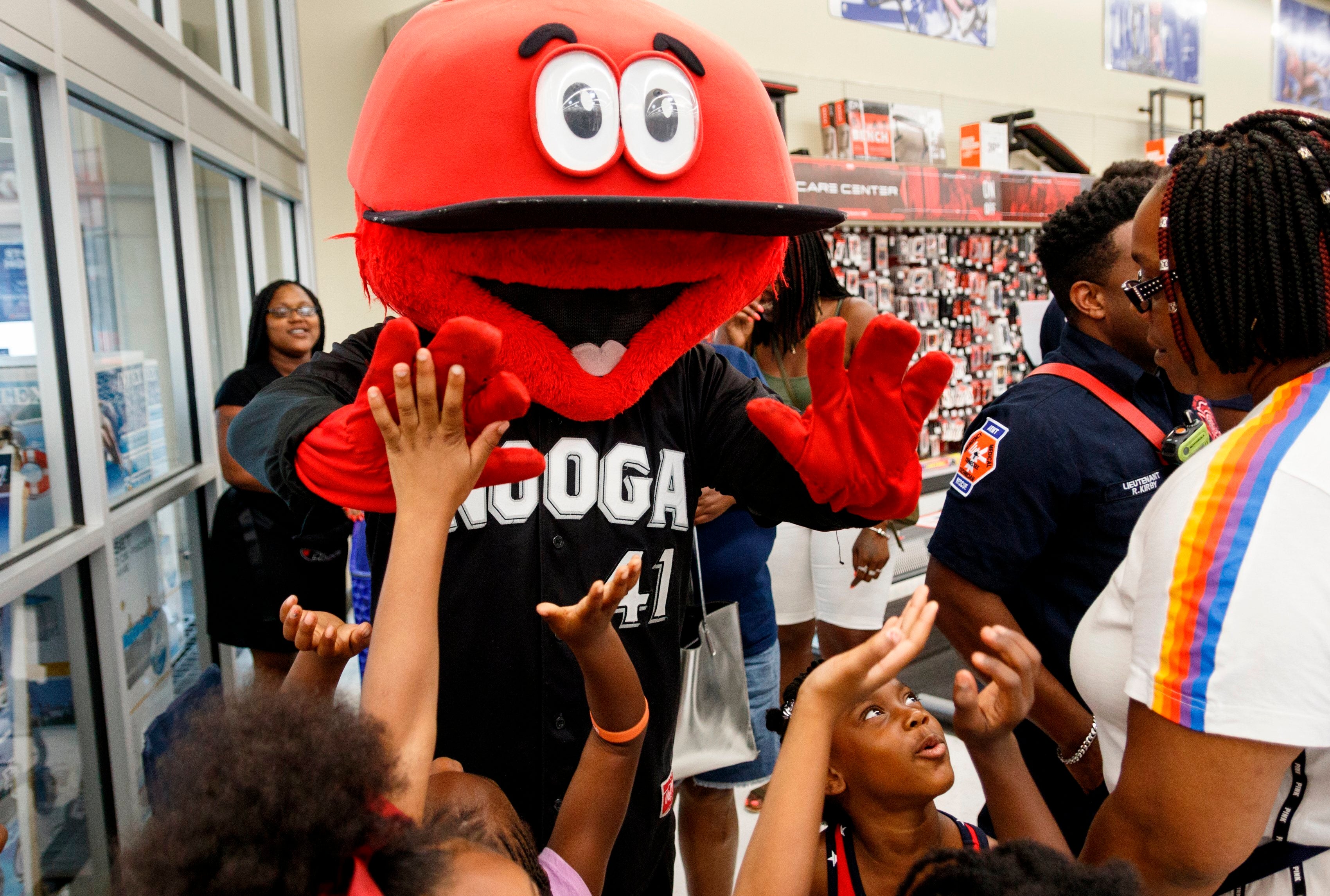 Mascot Costume Stolen Tennessee