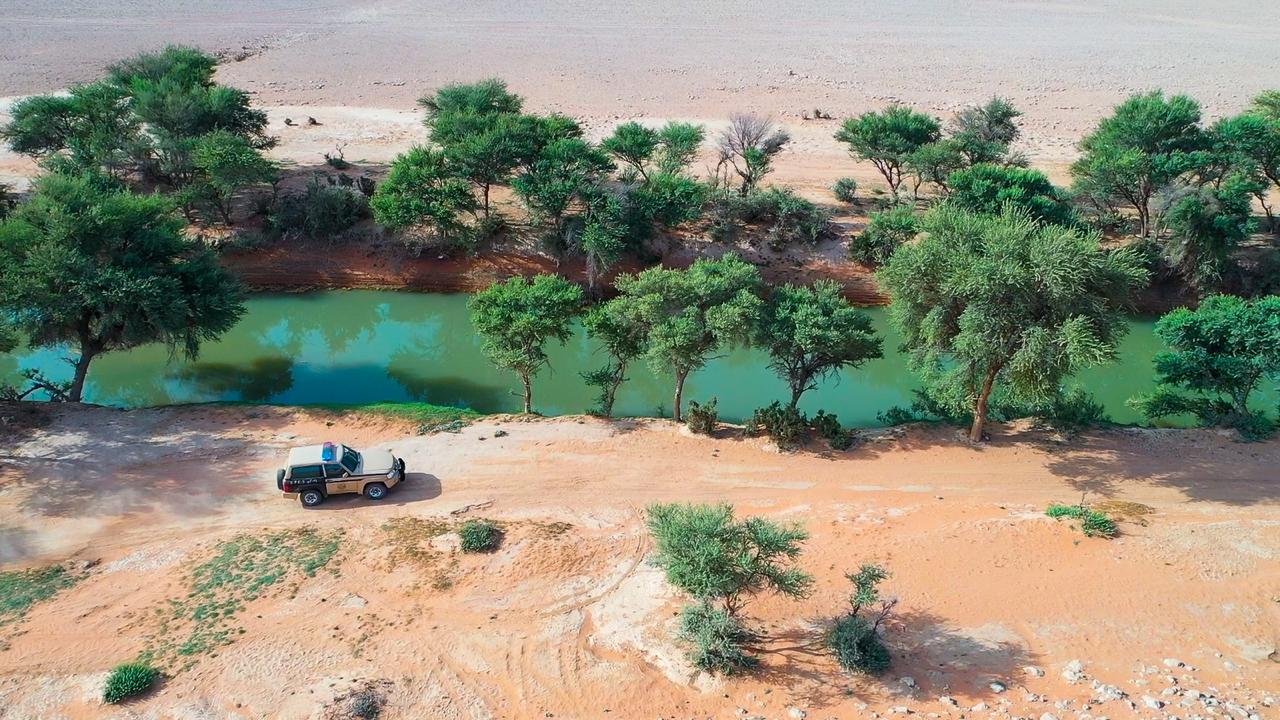 The drive from Riyadh to the King Abdul Aziz Royal Reserve: ‘a perfect harmony between deforestation on the right side of the road and higher levels of greenery on the left’