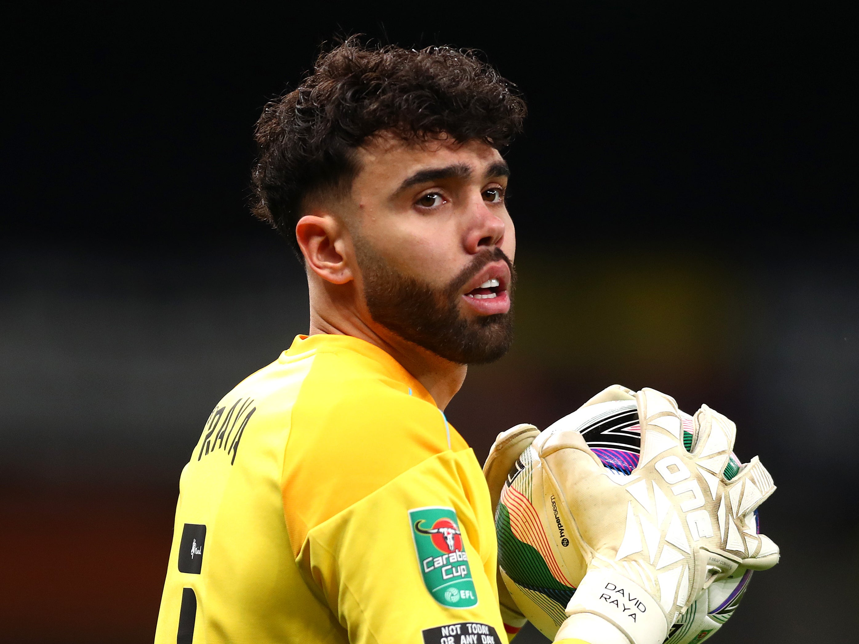 Brentford goalkeeper David Raya