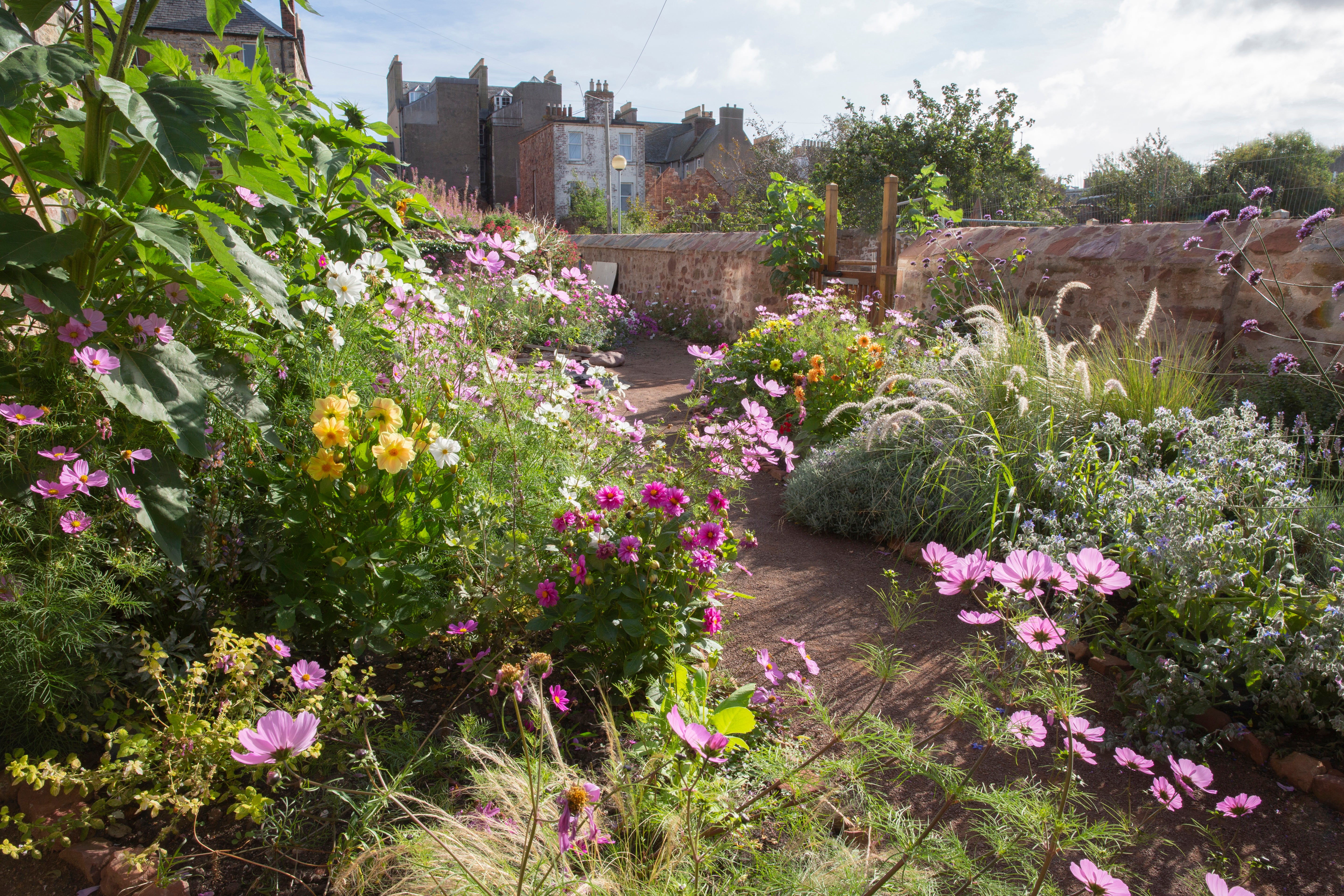 The Backlands community garden