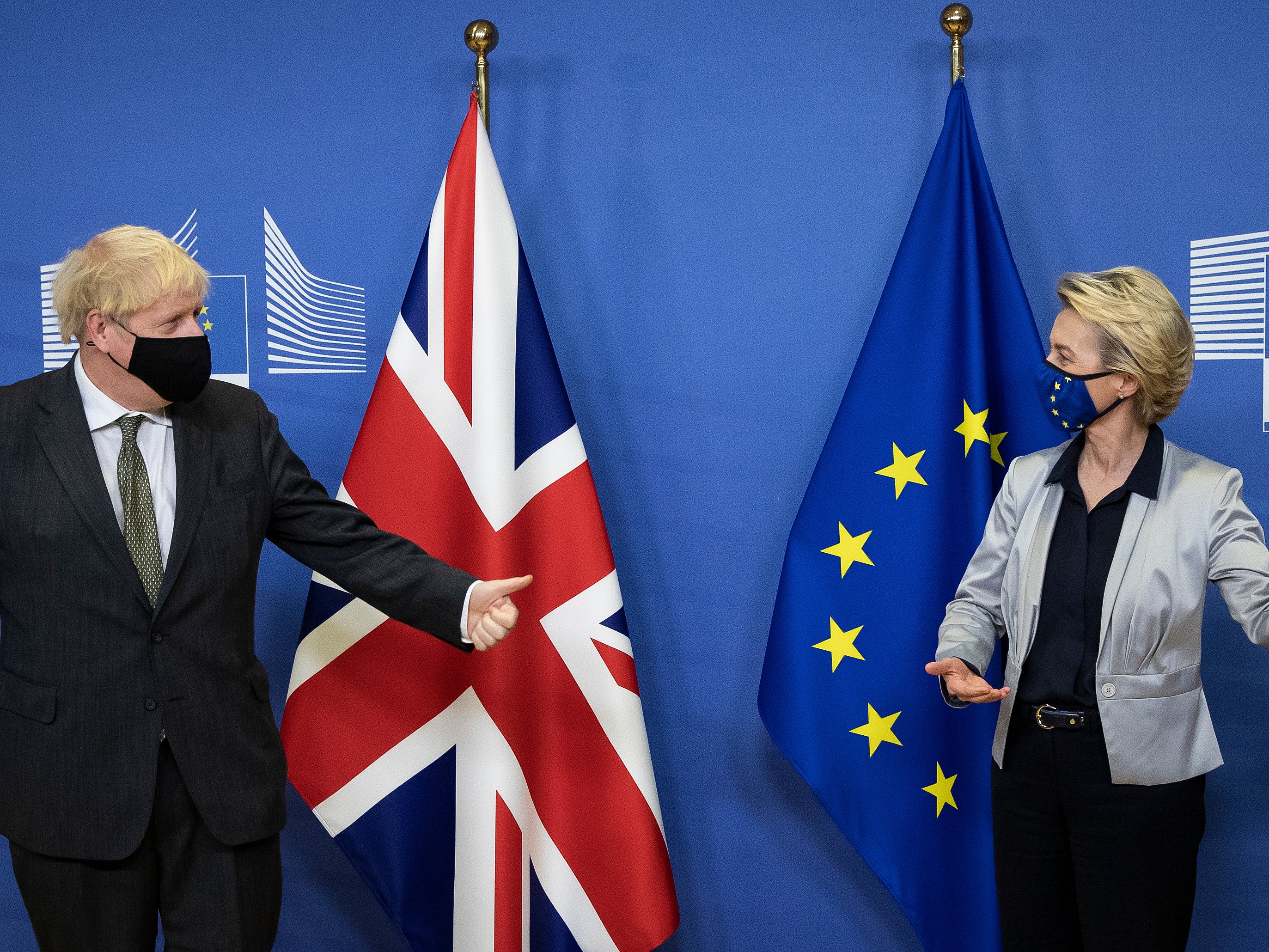 Great divide: Boris Johnson and Ursula von der Leyen in Brussels last year