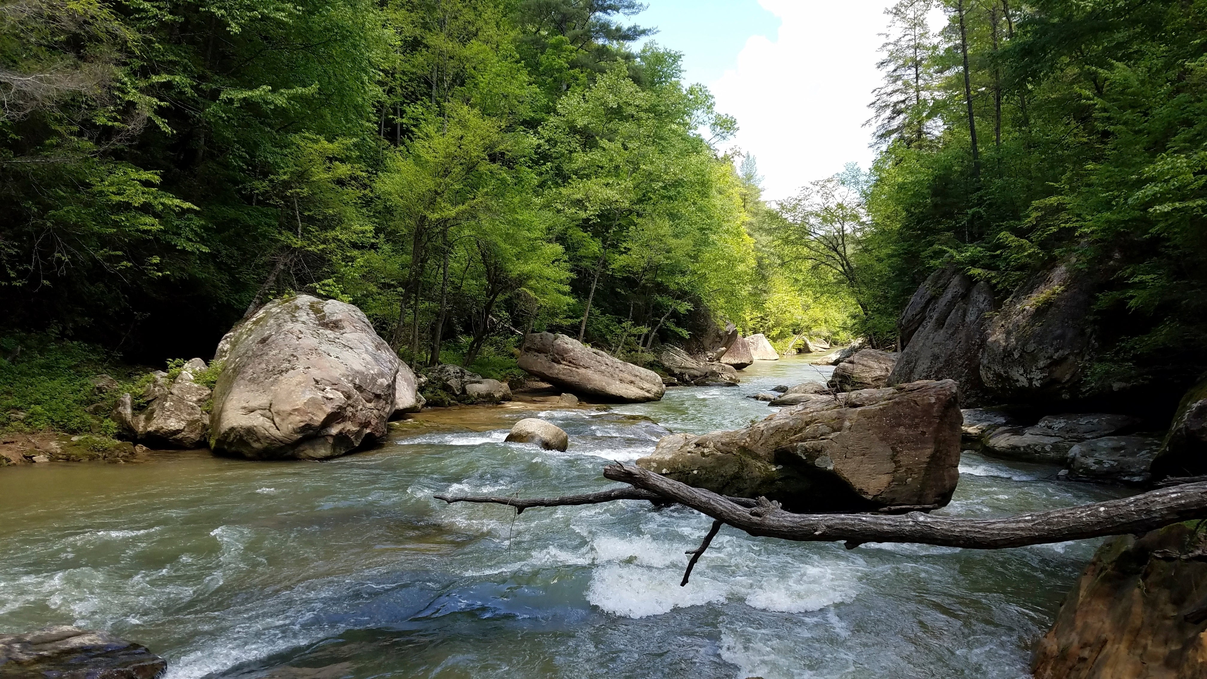 Red River Gorge Development