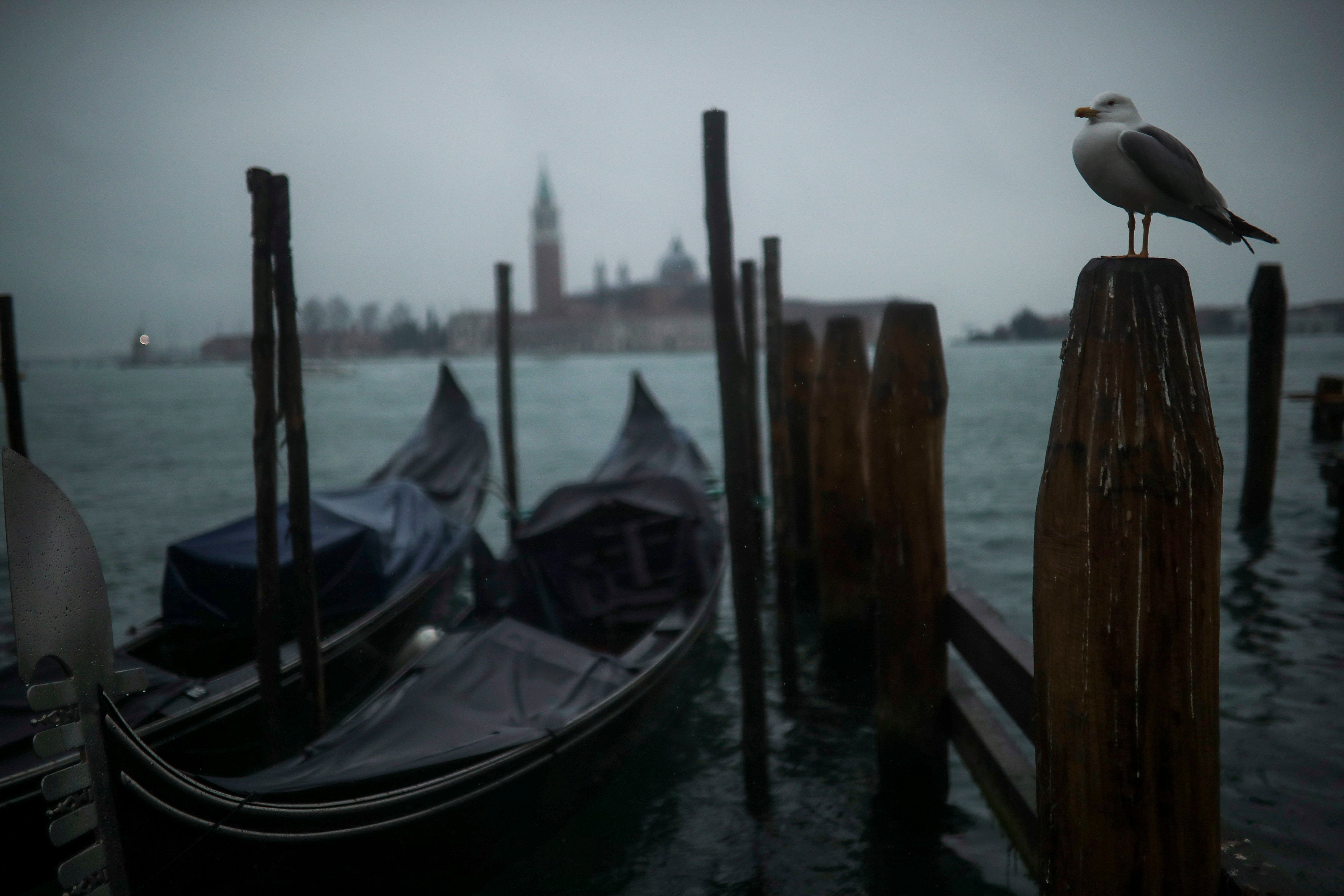 Italy Venice Cruise Ships