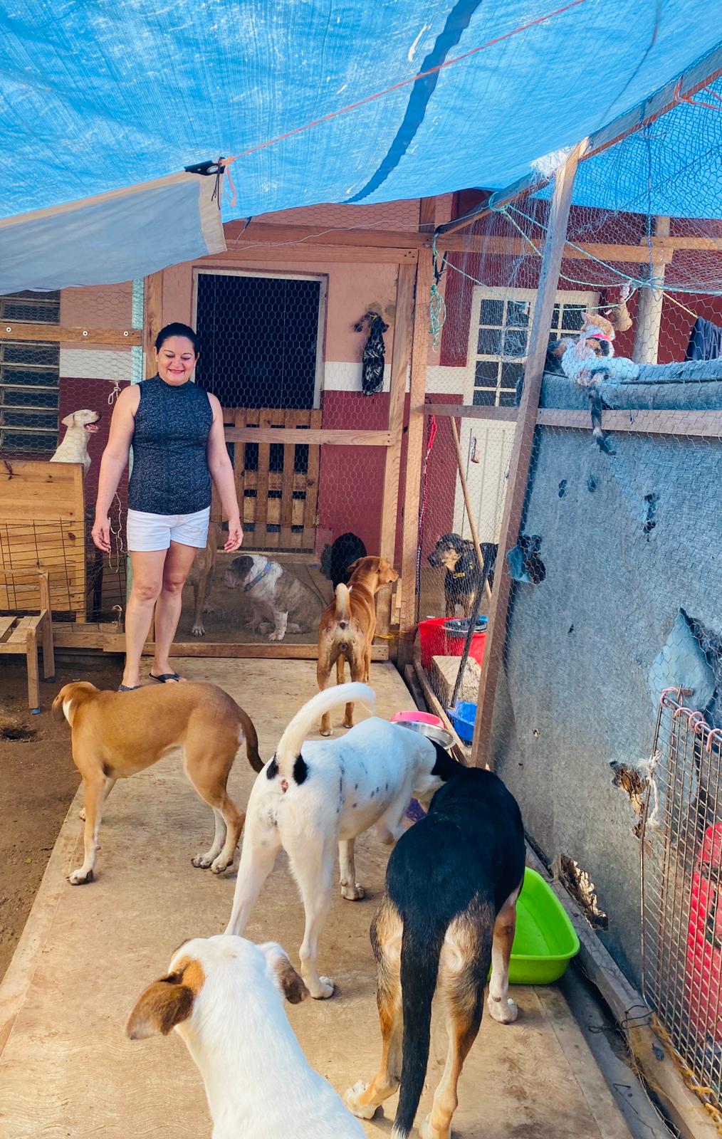 Carmen Torres with some of the street dogs she cares for