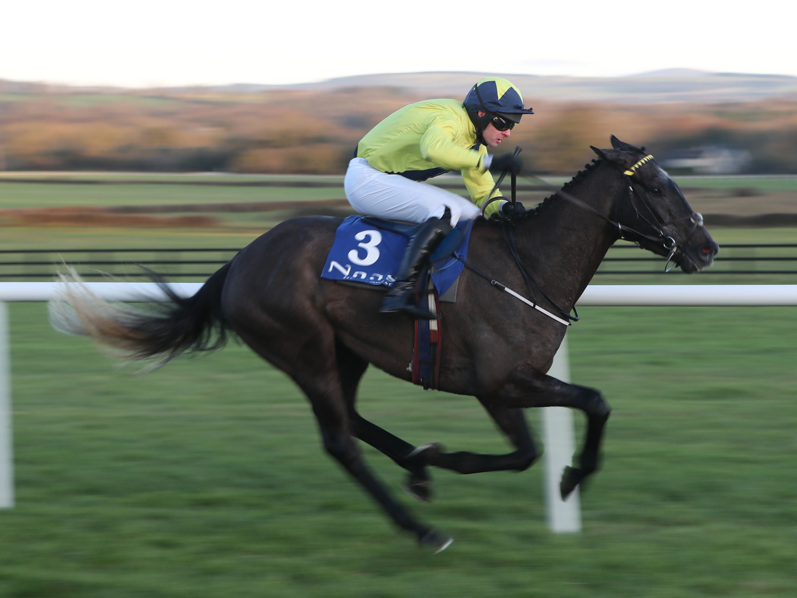 Espanito Bello ridden by Mark O'Hare